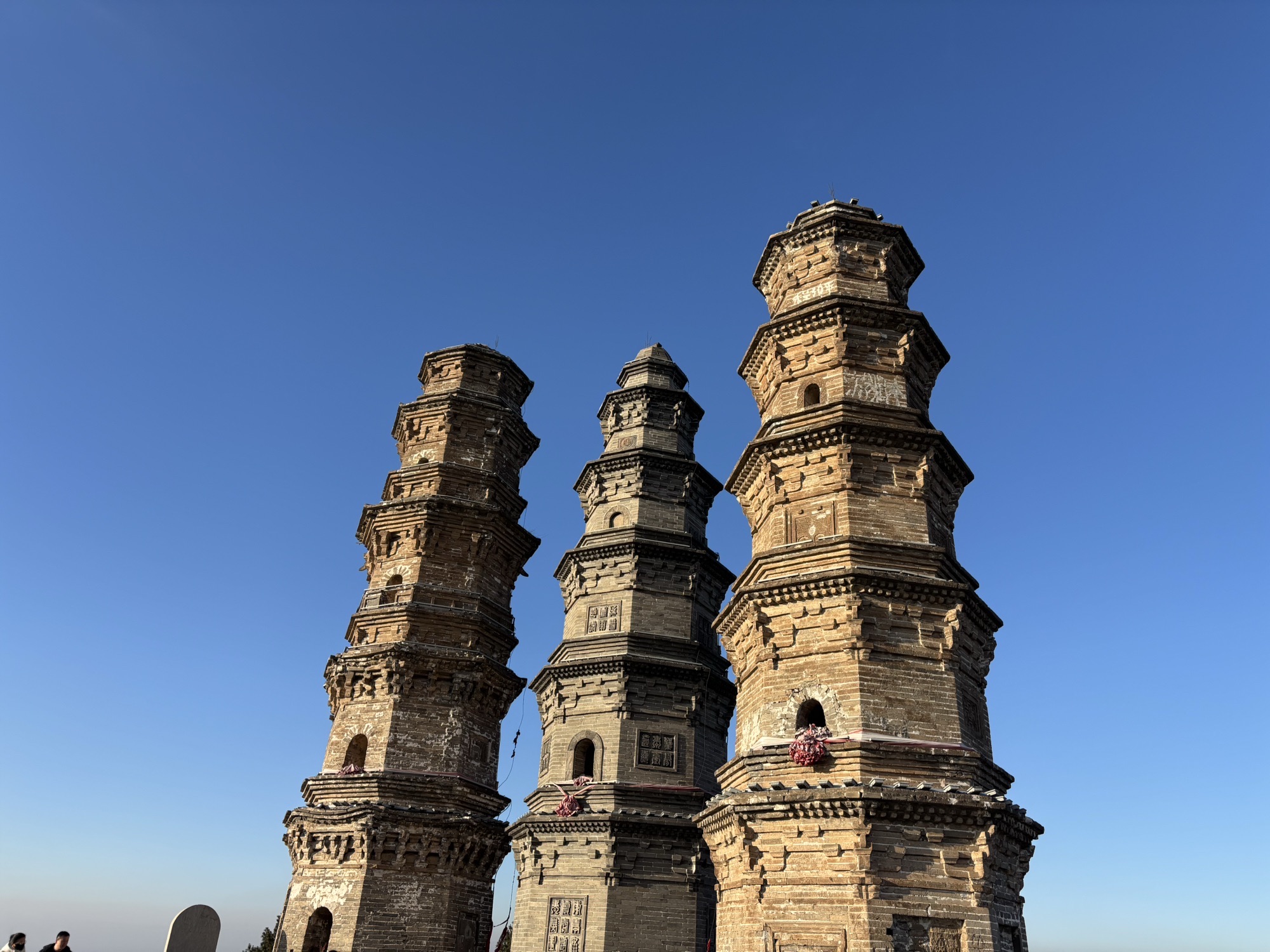 凤凰山森林公园旅行图片 1