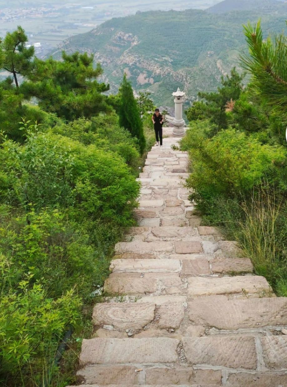 凤凰山森林公园旅行图片 3