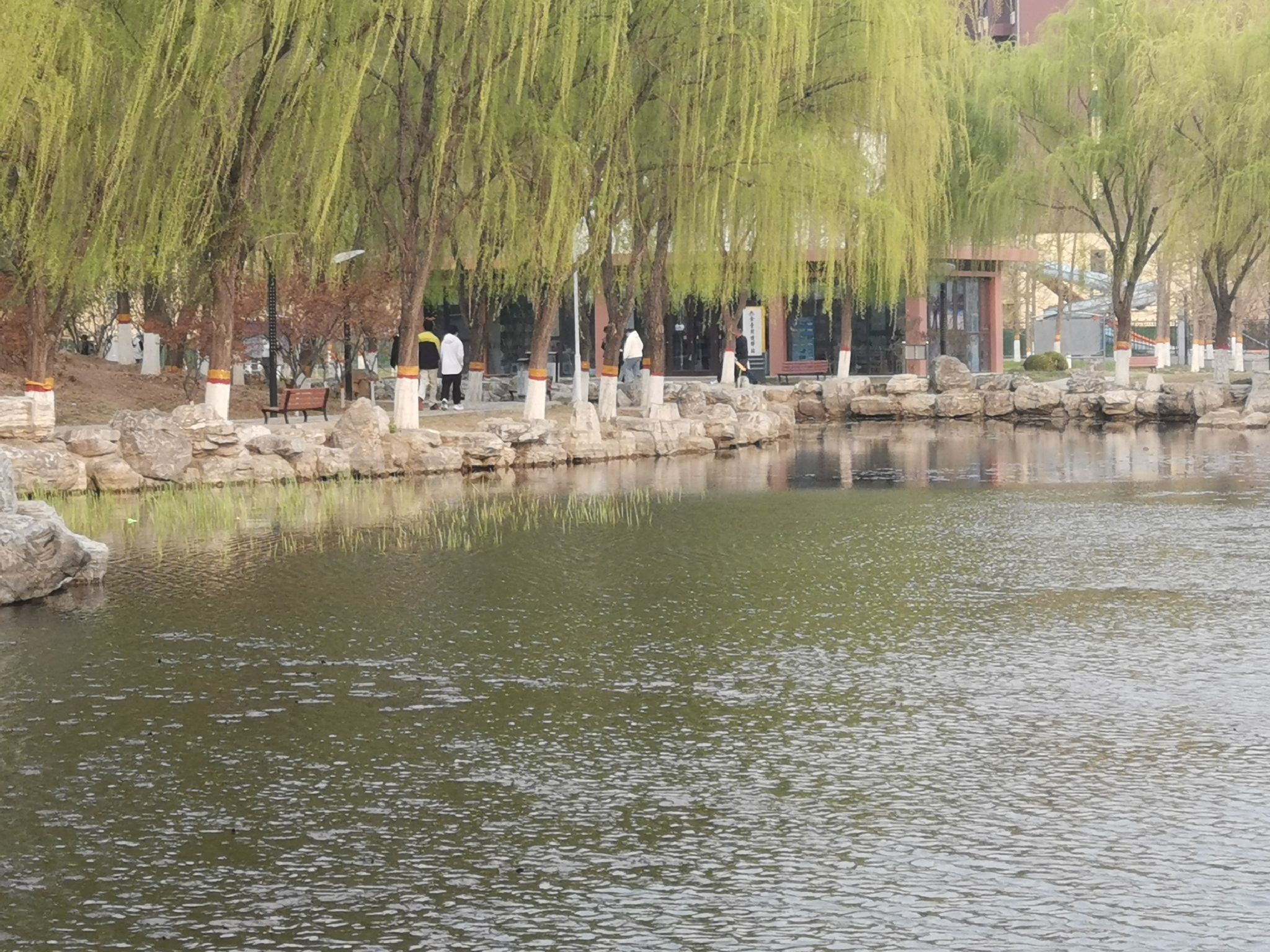 定兴燕兴公园旅行图片 2