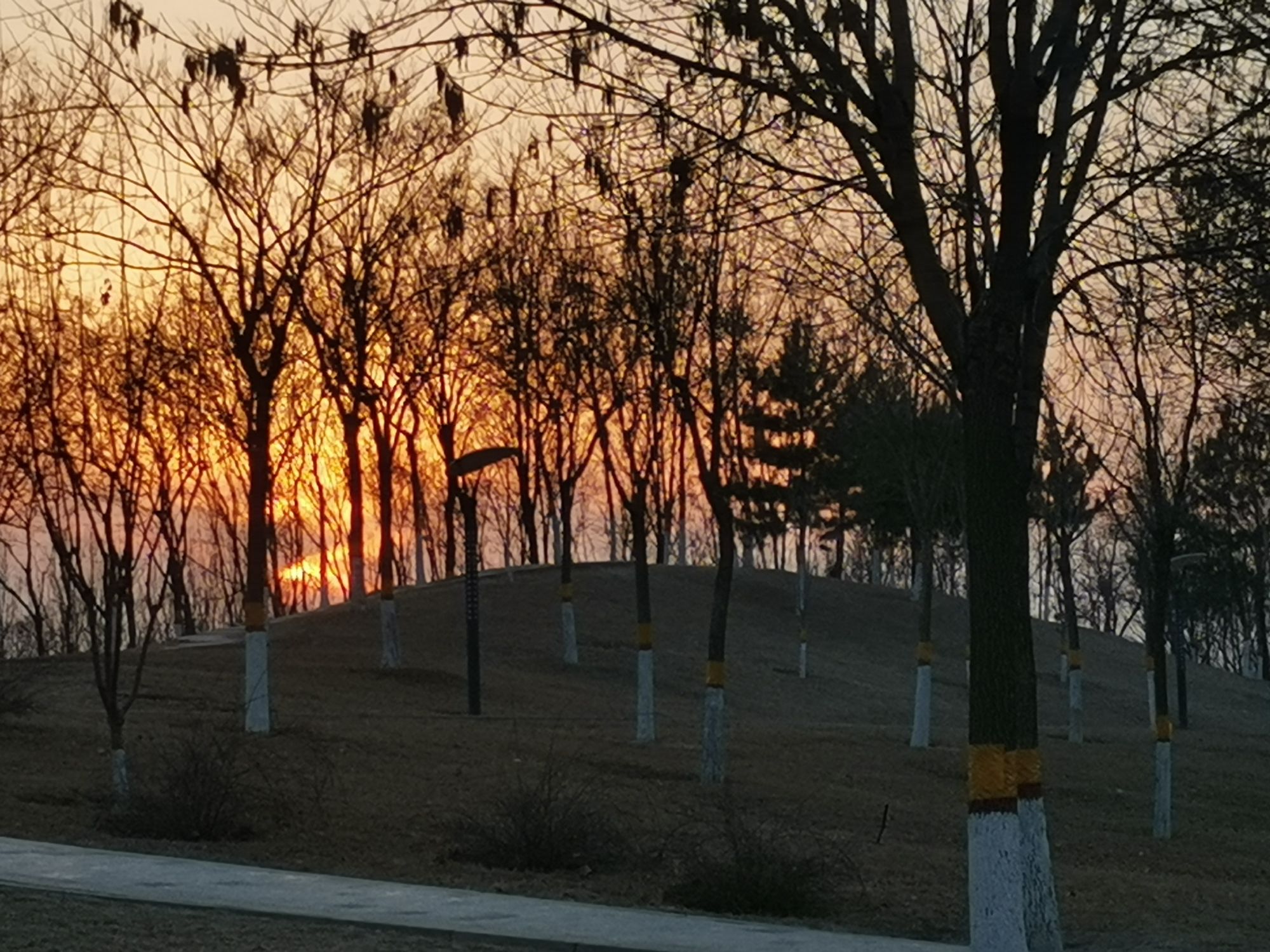 定兴燕兴公园旅行图片 3