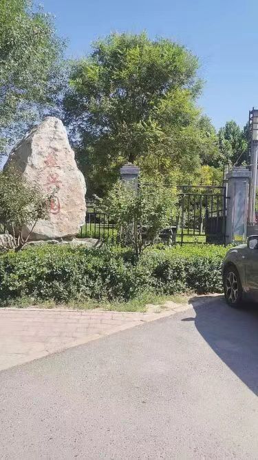 定兴燕兴公园旅行图片 2