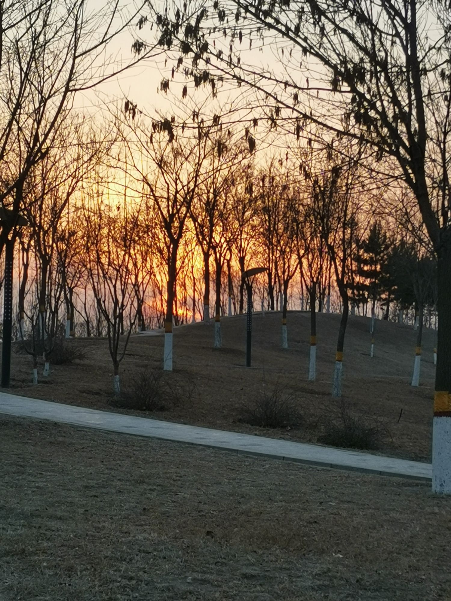 定兴燕兴公园旅行图片 2