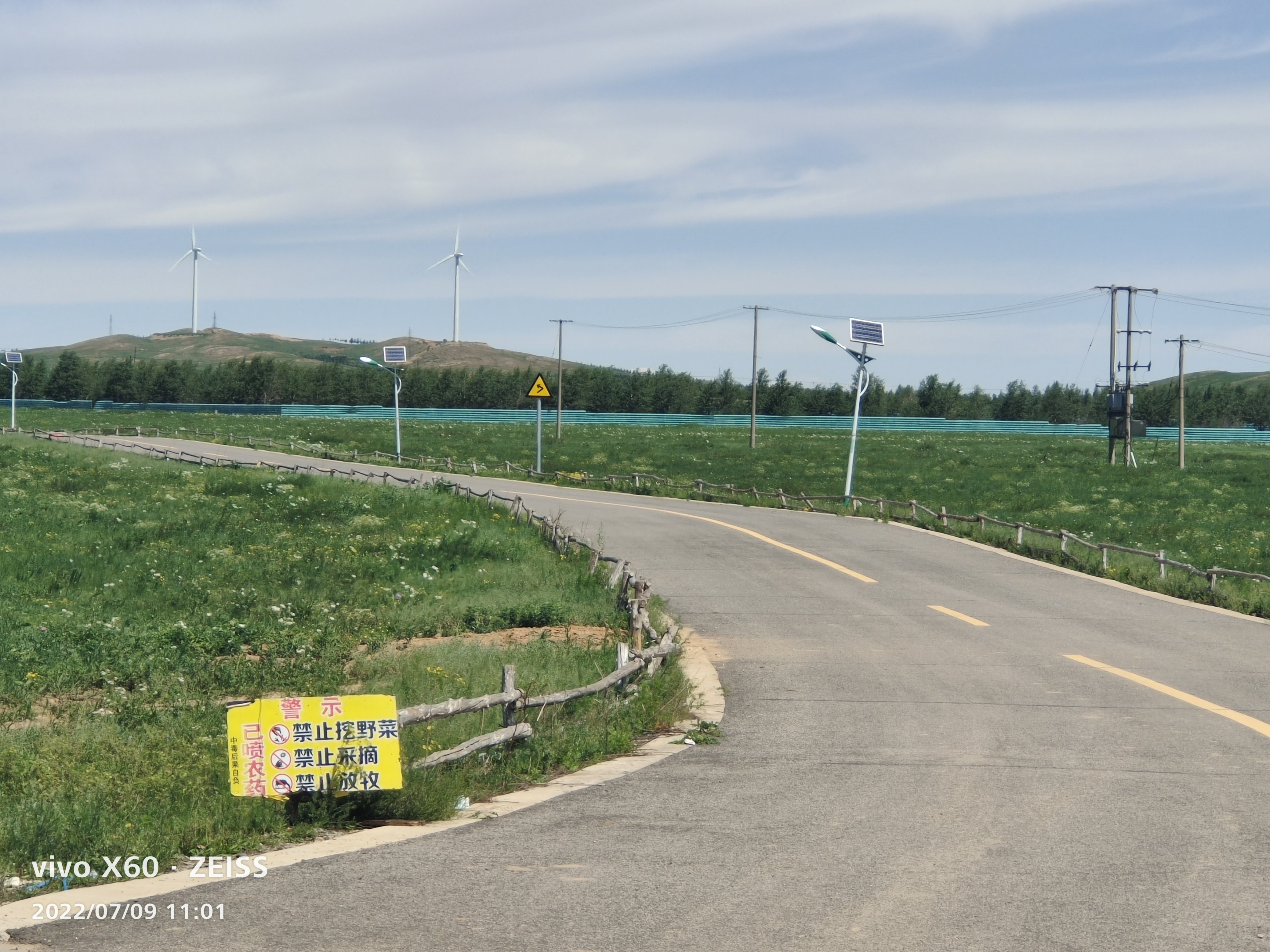 卧龙图山旅行图片 3