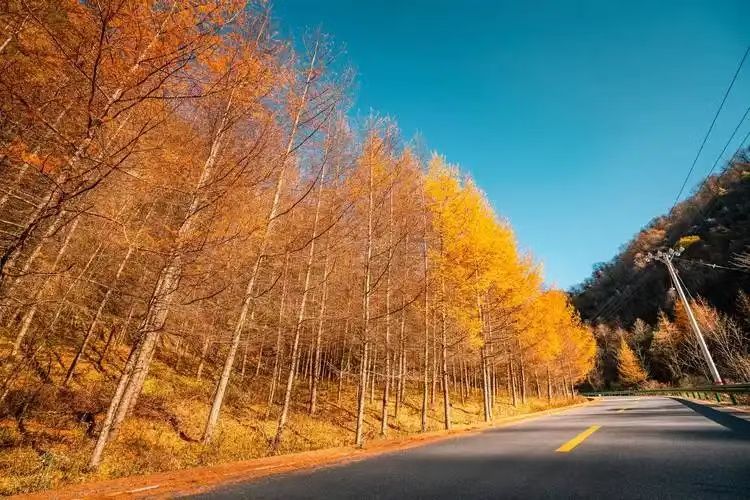 城口亢谷风景区旅行图片 1