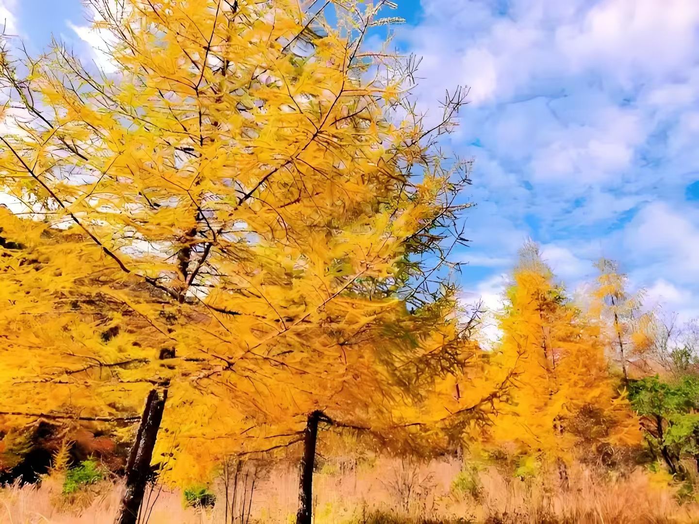 城口亢谷风景区旅行图片 3