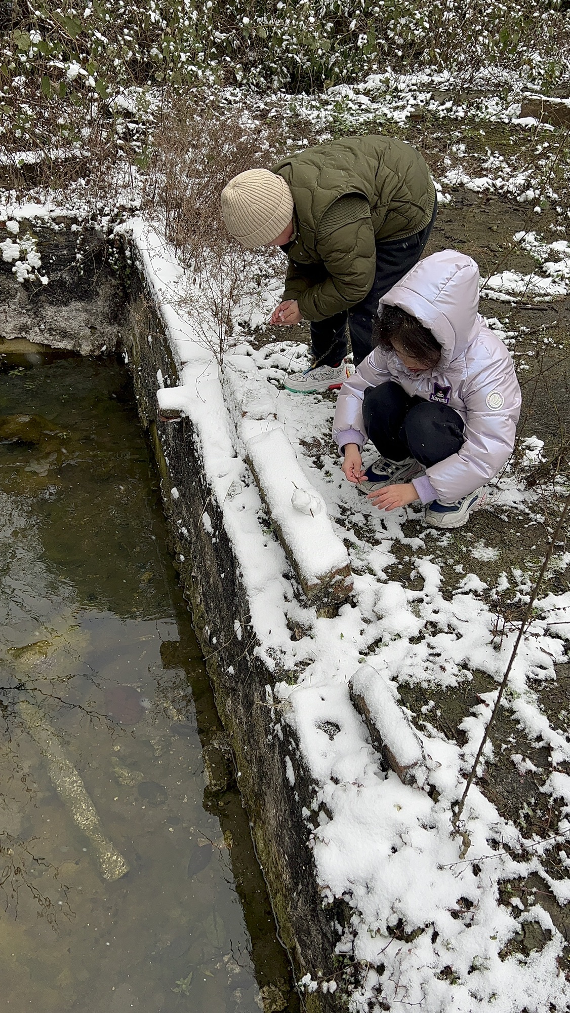 放牛坪景区旅行图片 2