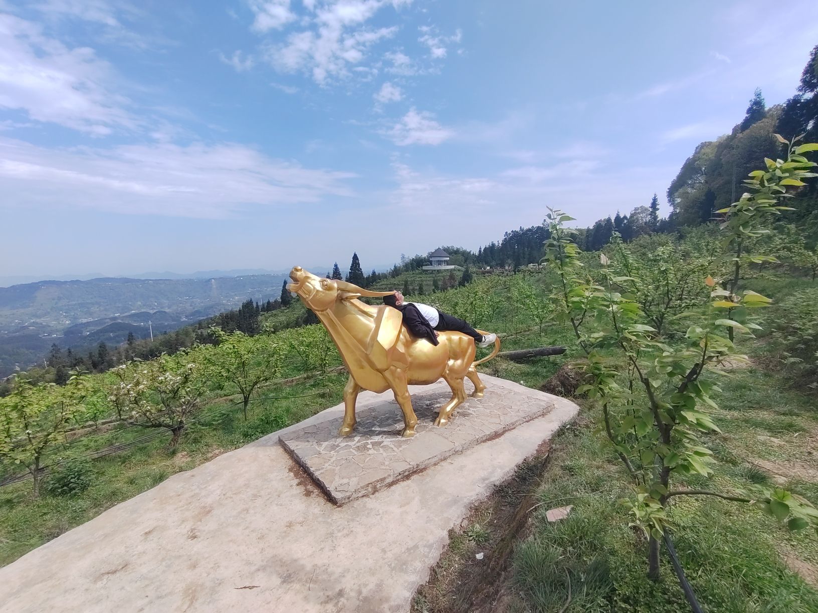 放牛坪景区旅行图片 1