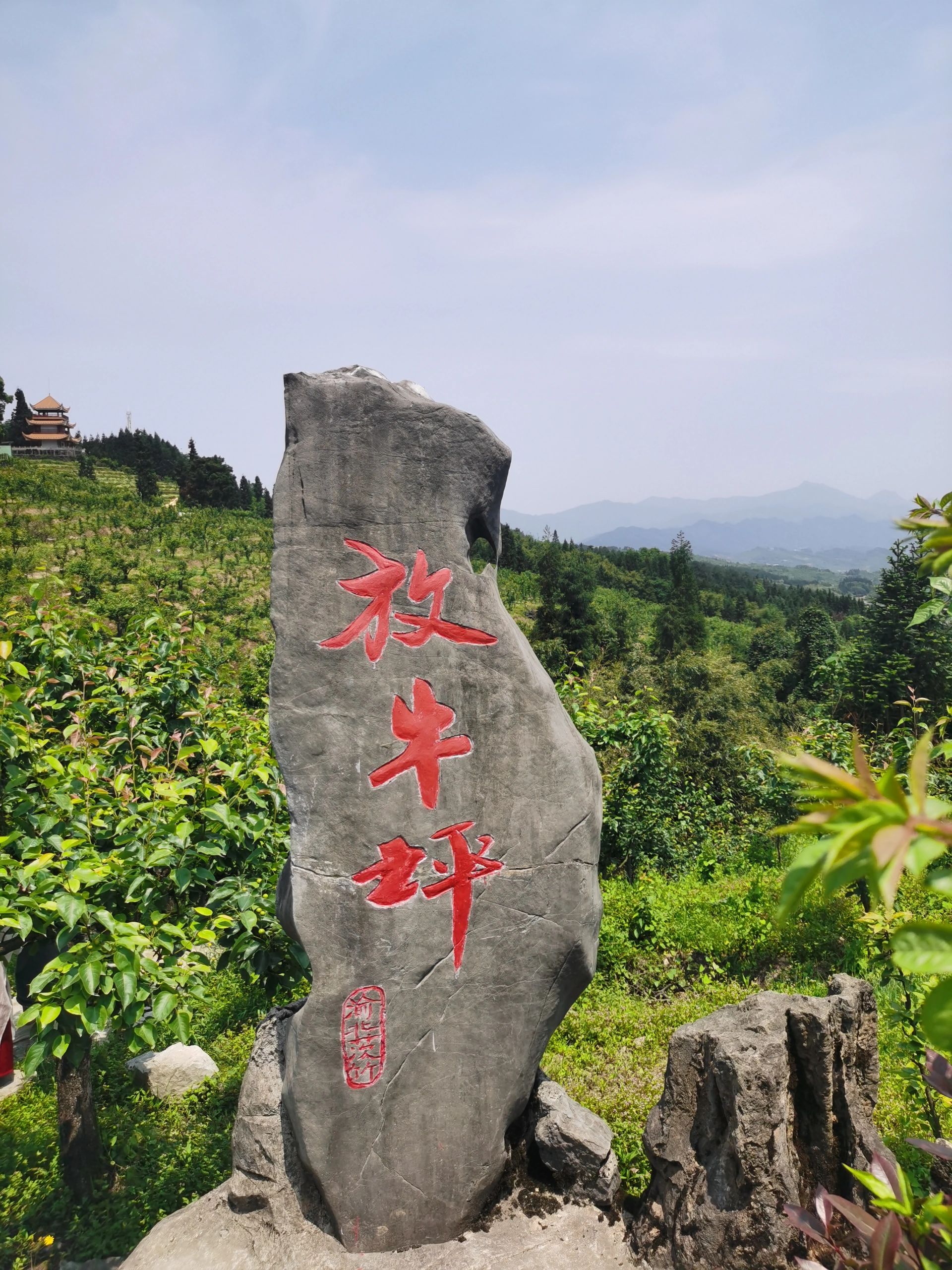 放牛坪景区旅行图片 1