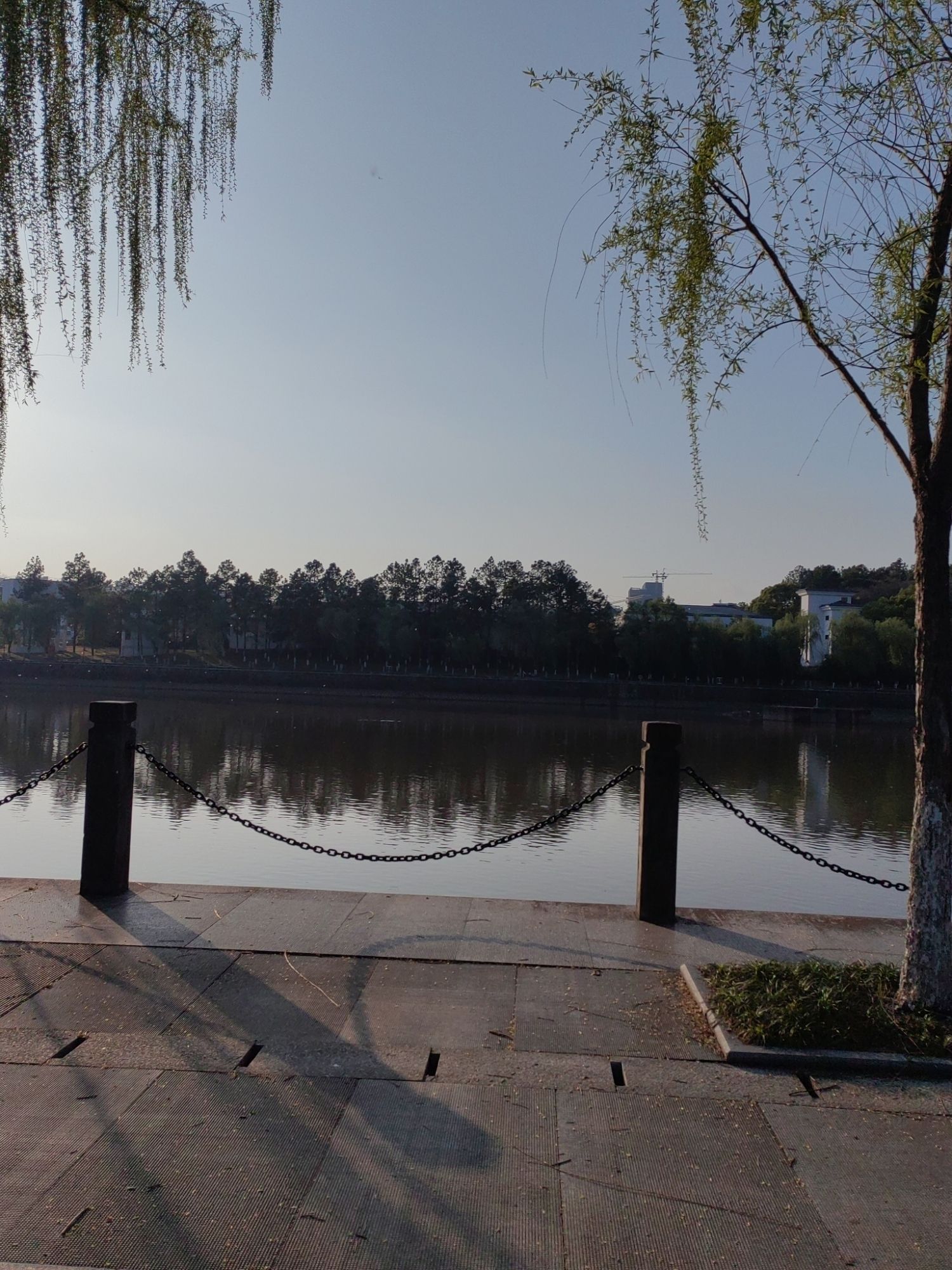 江滨绿廊樱花园旅行图片 3