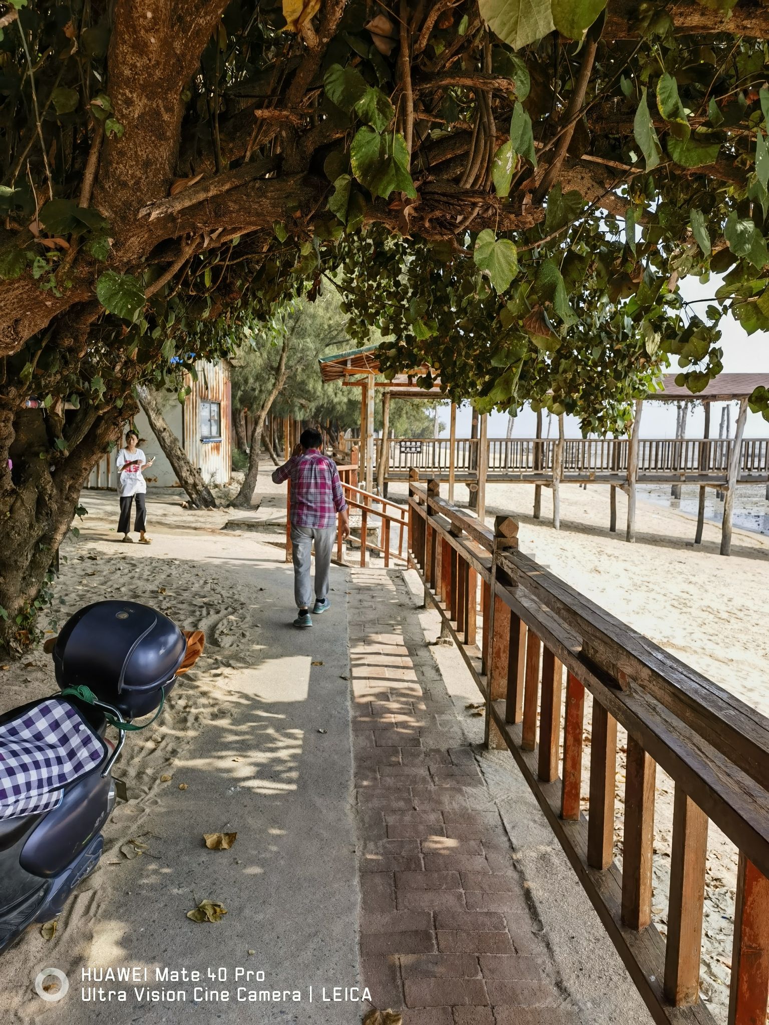 青山头乡村旅游区旅行图片 1