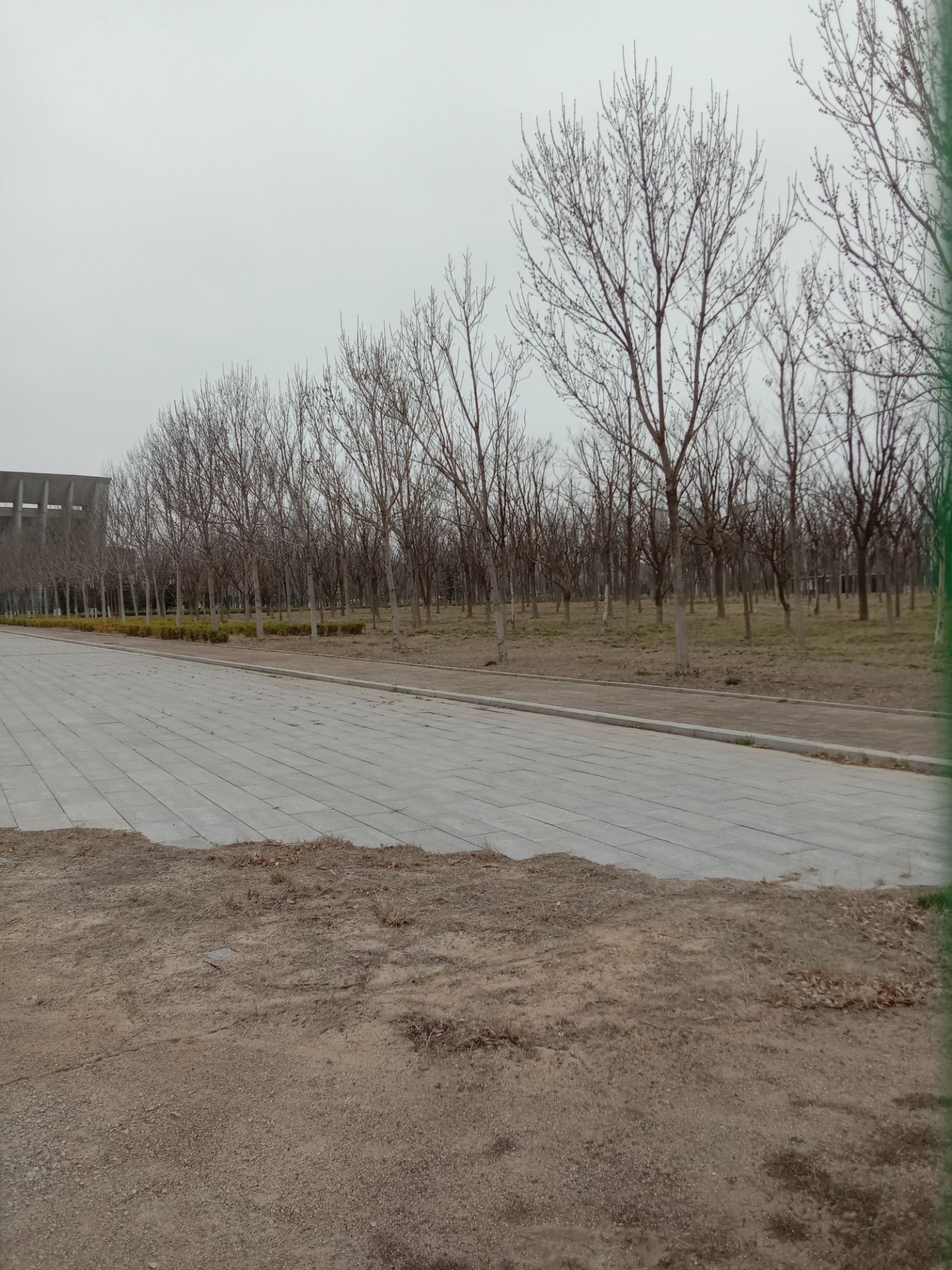 平度奥林匹克公园旅行图片 2