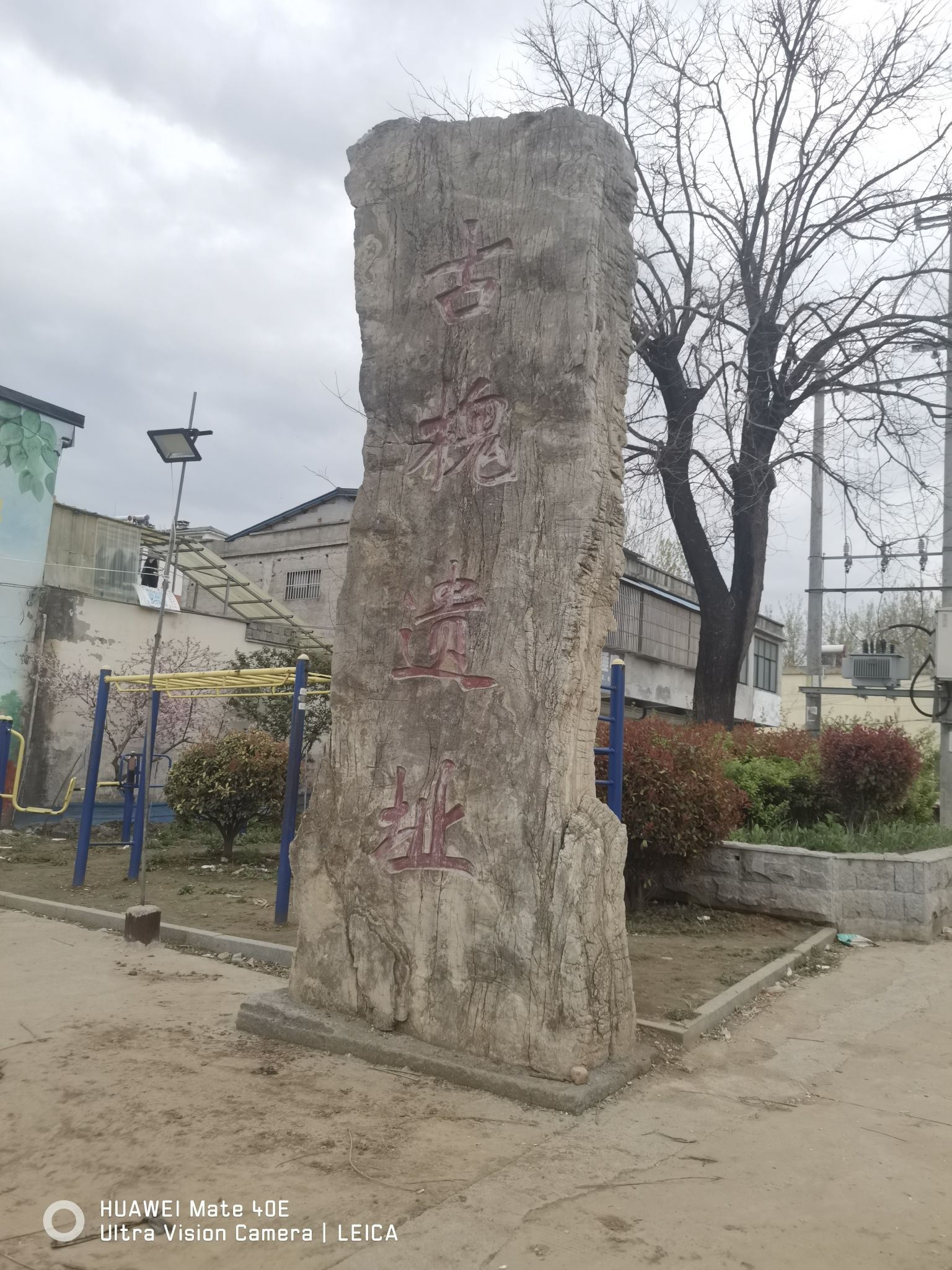 古槐遗址旅行图片 1