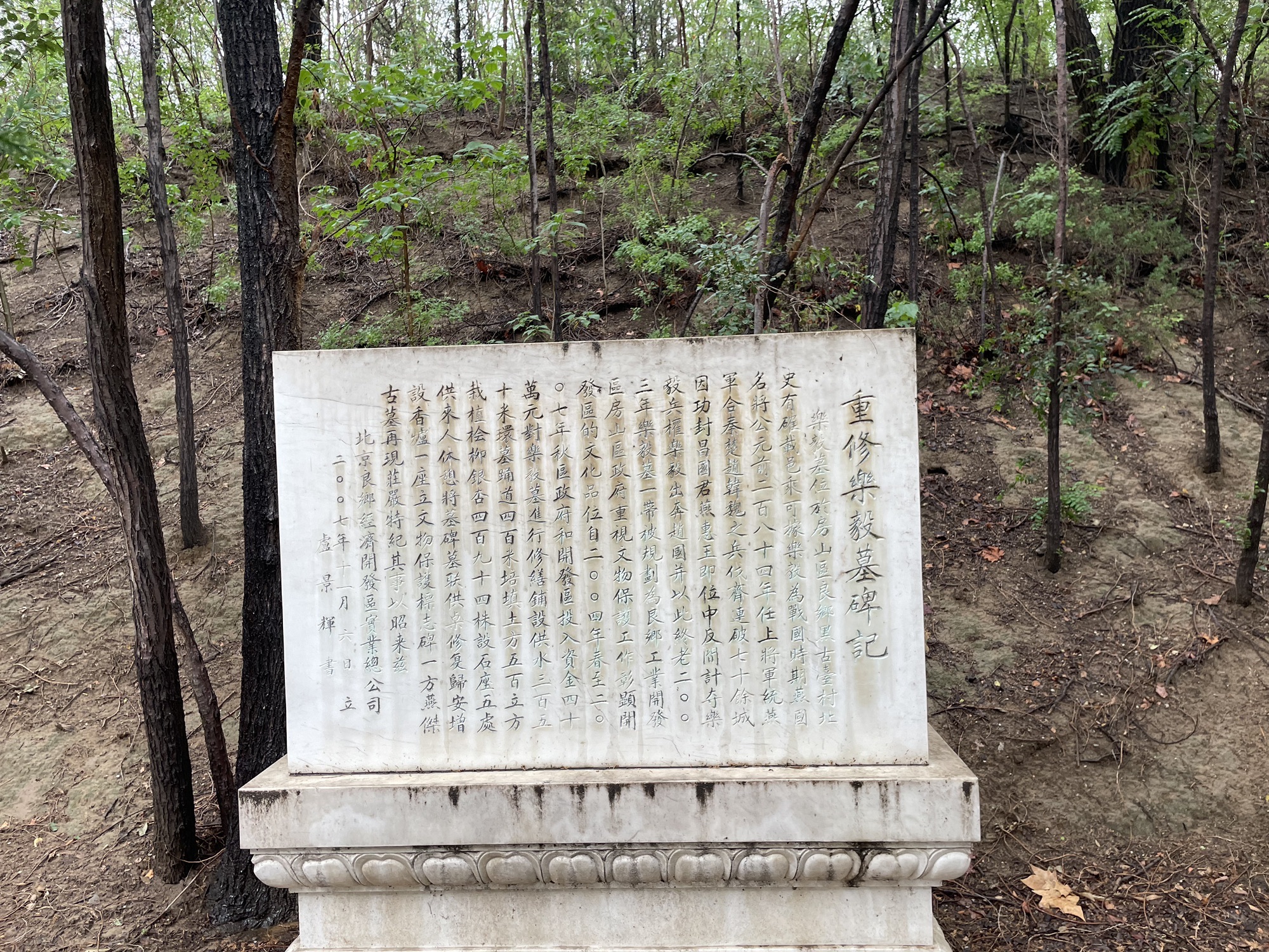 乐毅墓旅行图片 1