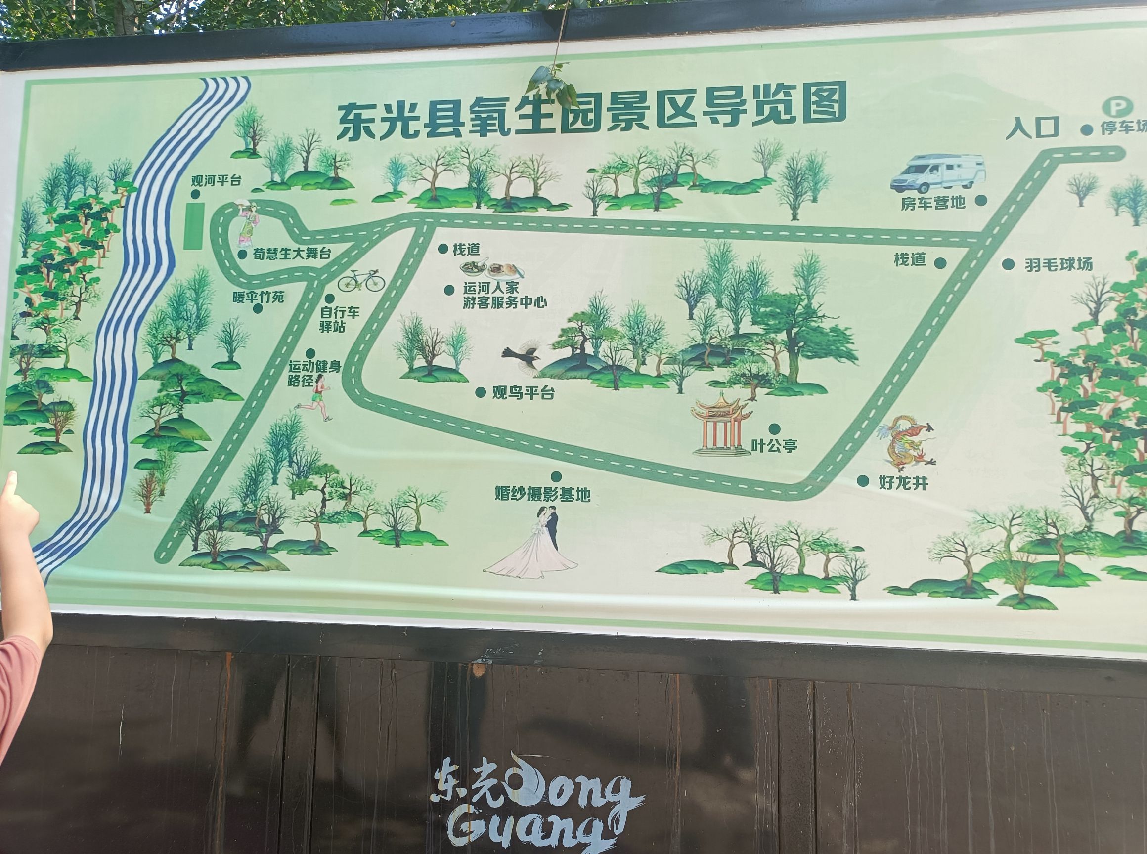 东光大运河森林公园氧生园旅行图片 2