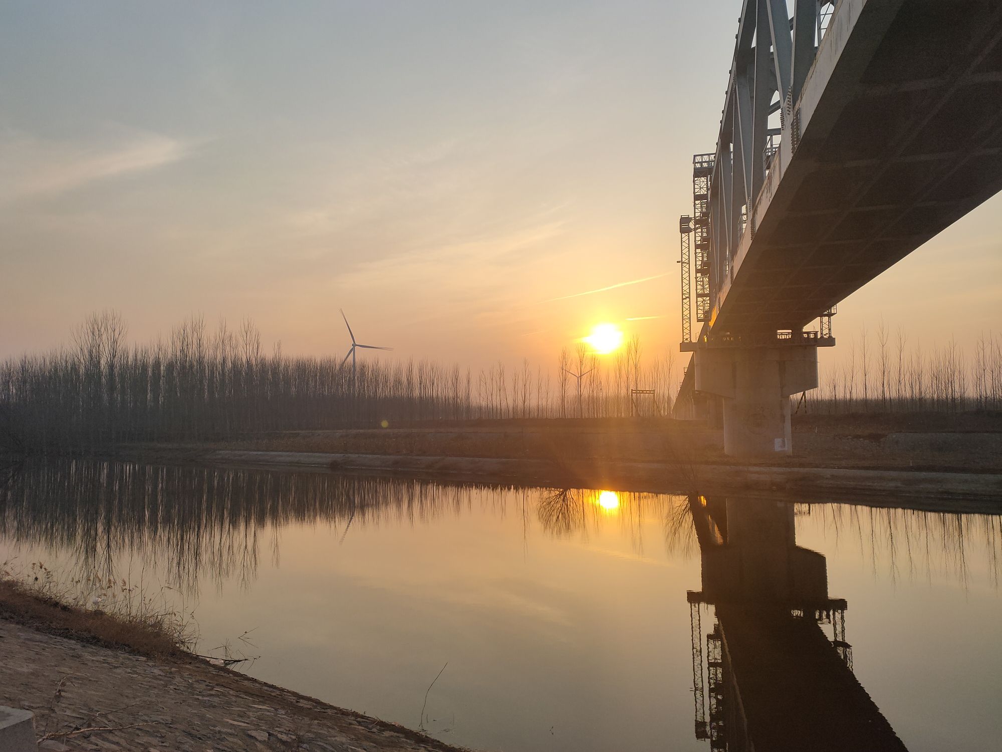 东光大运河森林公园氧生园旅行图片 1