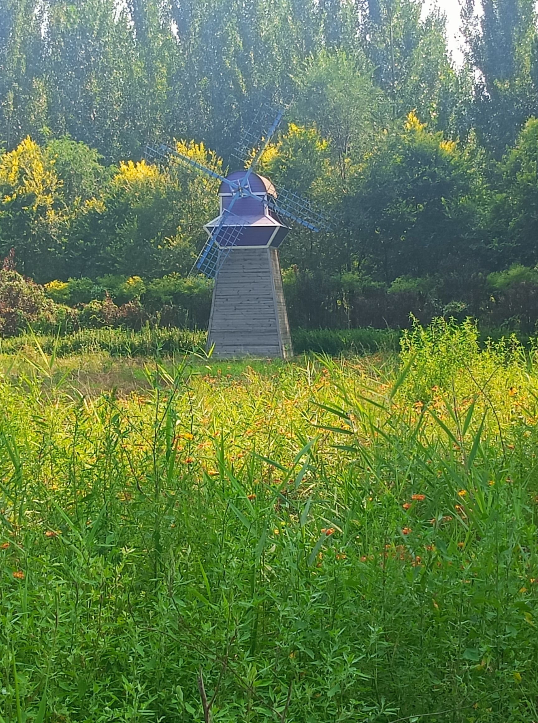 东光大运河森林公园氧生园旅行图片 3