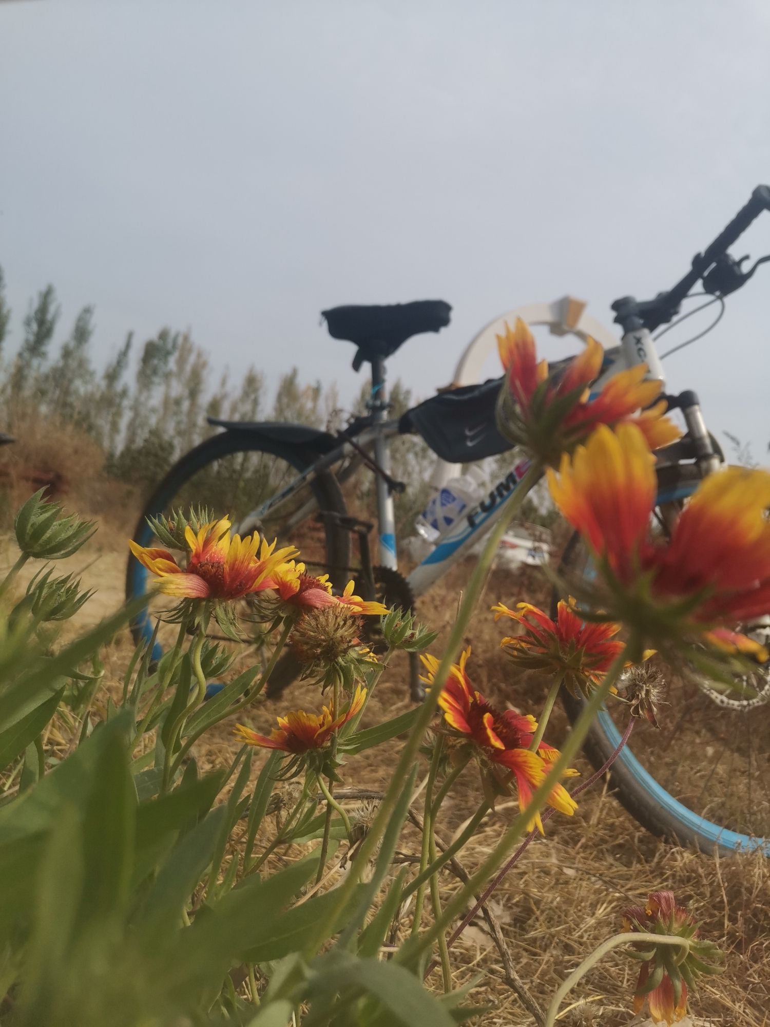 东光大运河森林公园氧生园旅行图片 3