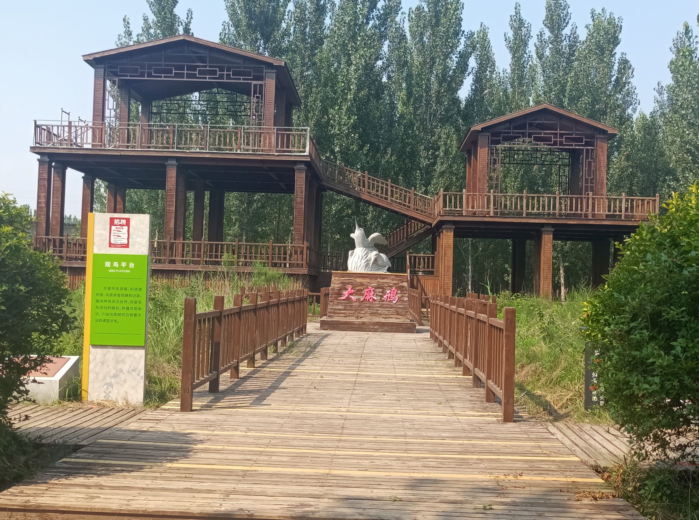 东光大运河森林公园氧生园旅行图片 1