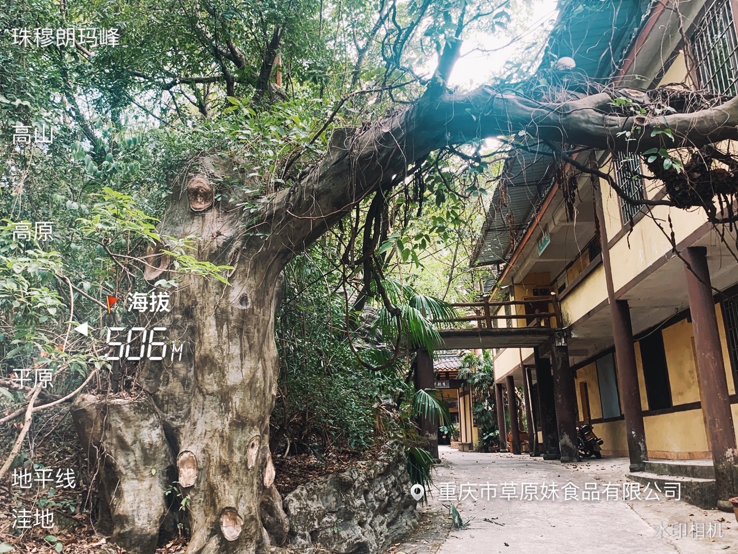 山洞森林公园旅行图片 3