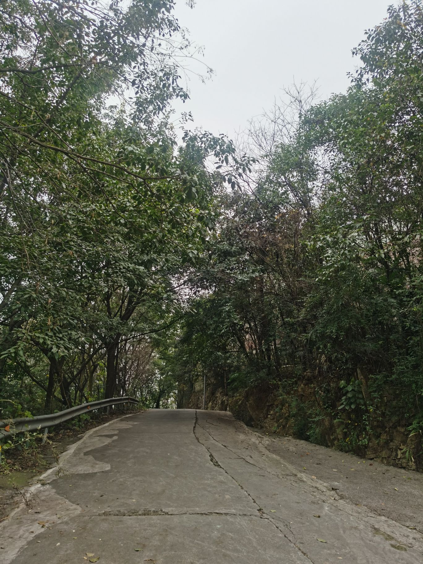 山洞森林公园旅行图片 1