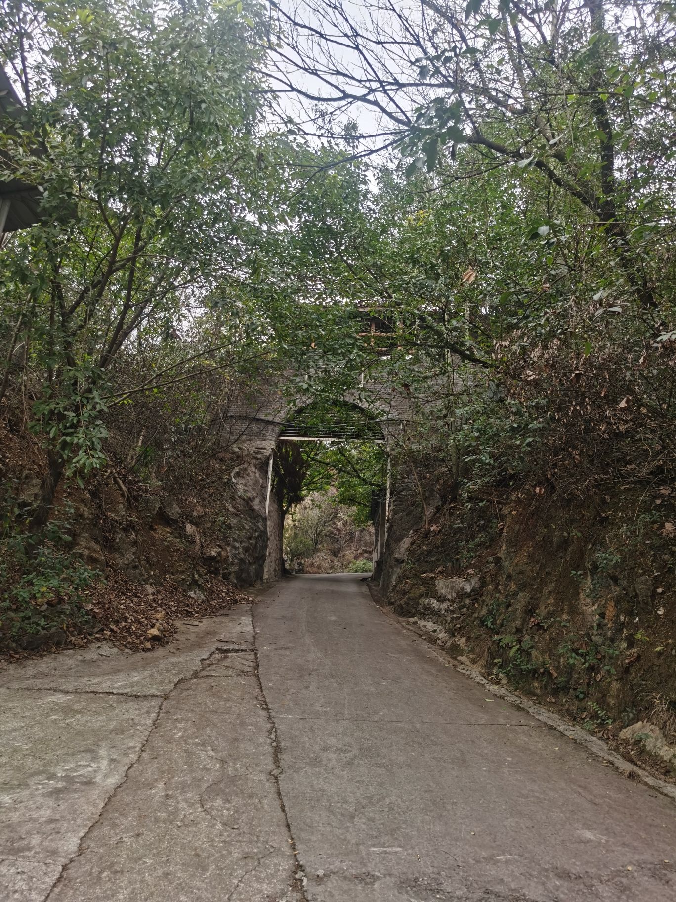 山洞森林公园旅行图片 2
