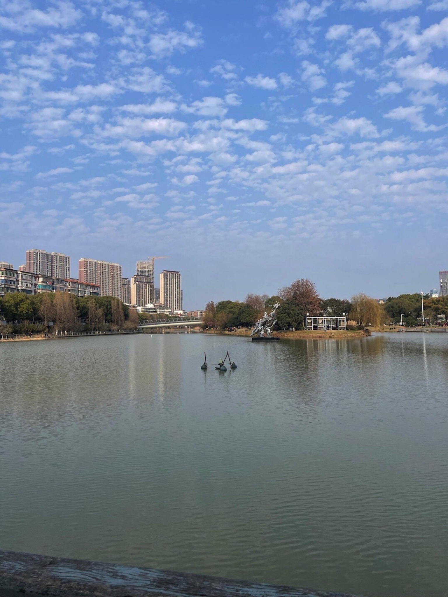 礼步湖公园旅行图片 1