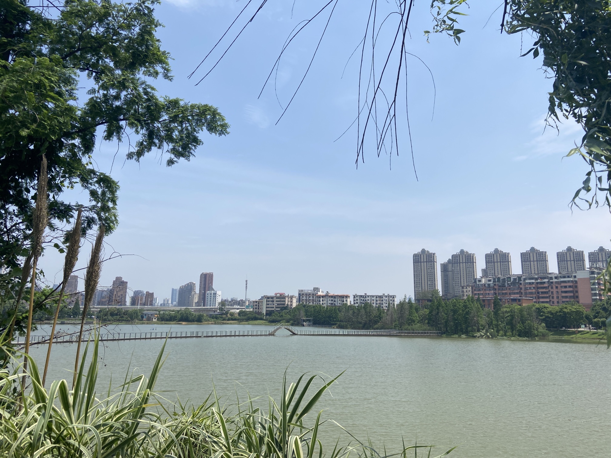 礼步湖公园旅行图片 2