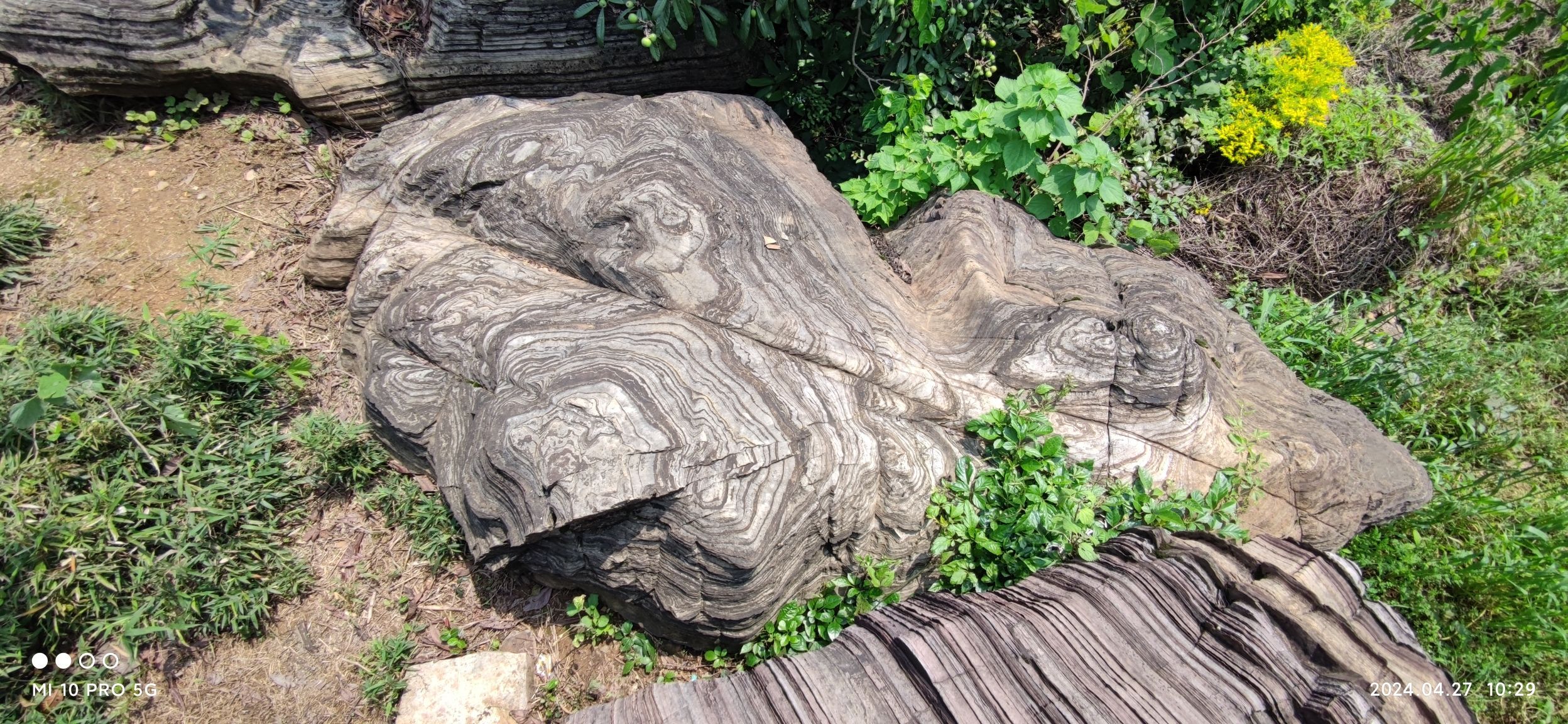 江山市海底世界双塔石林旅行图片 3