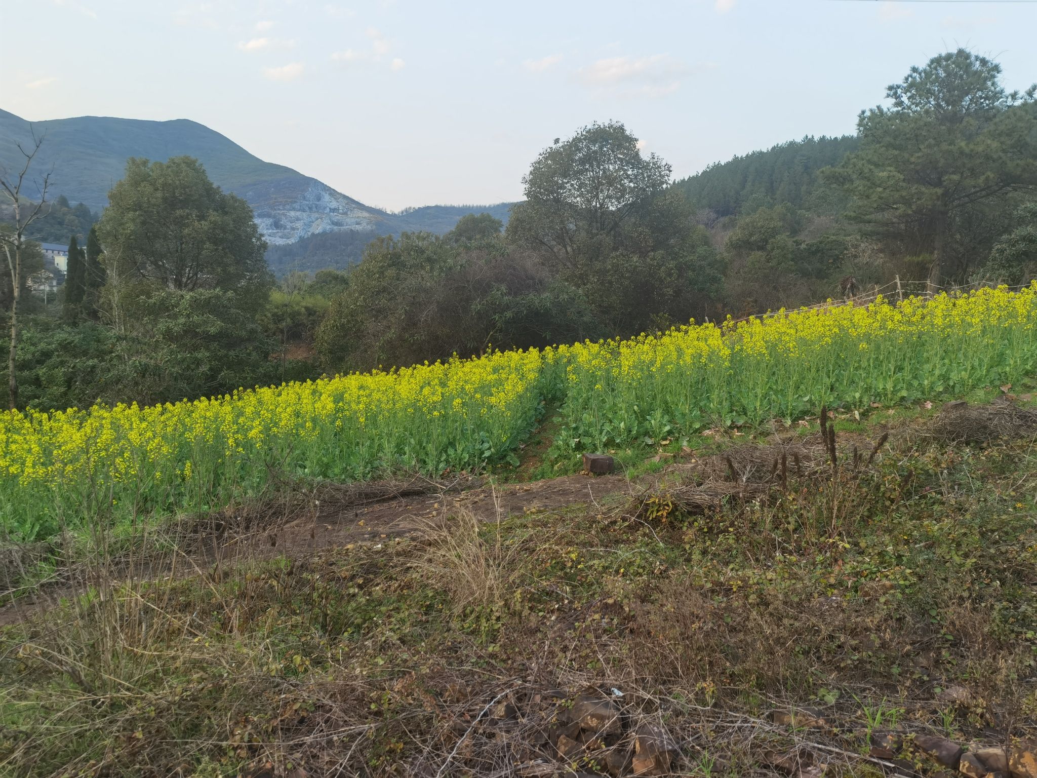 江山市海底世界双塔石林旅行图片 3