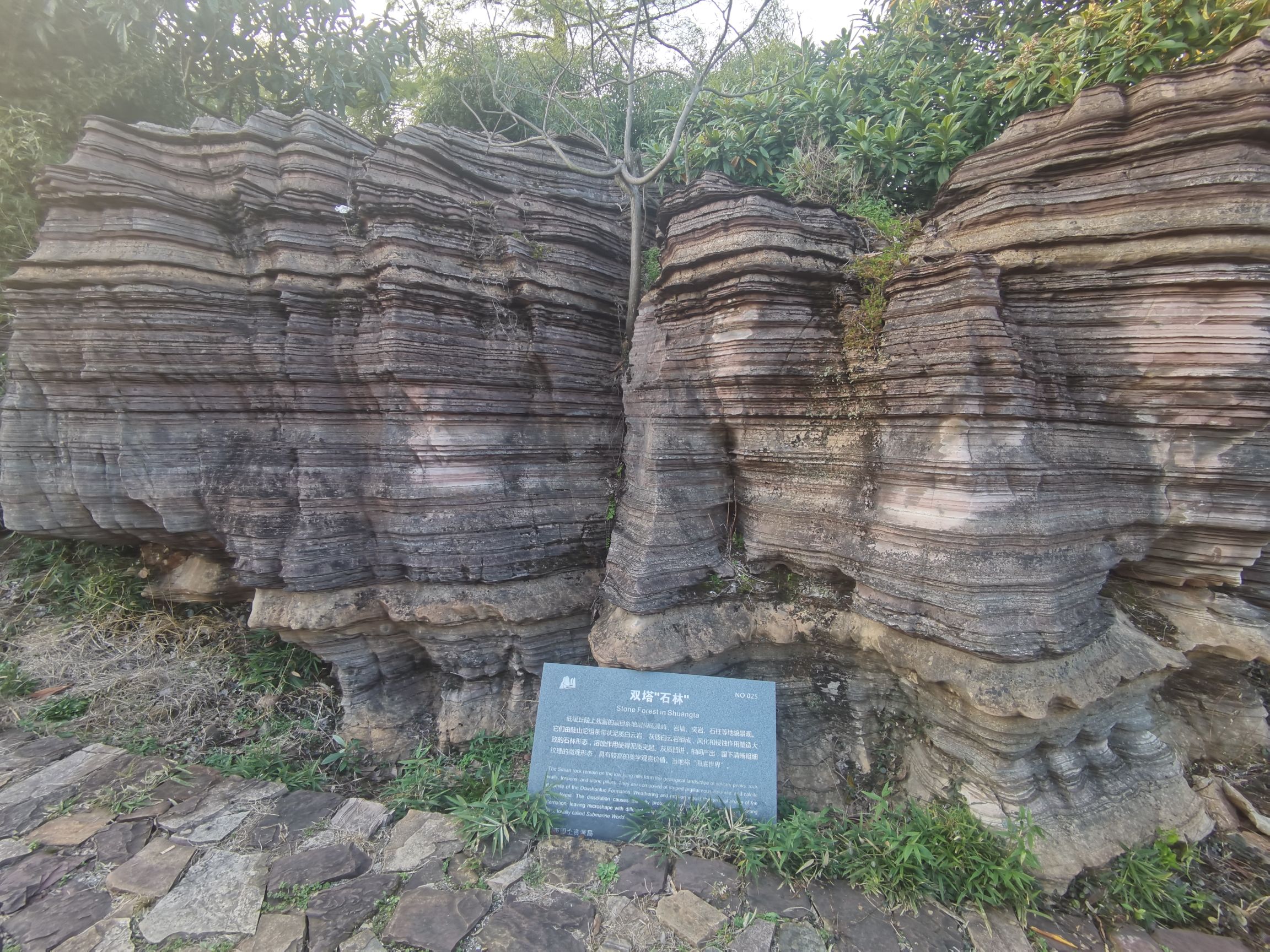 江山市海底世界双塔石林旅行图片 2