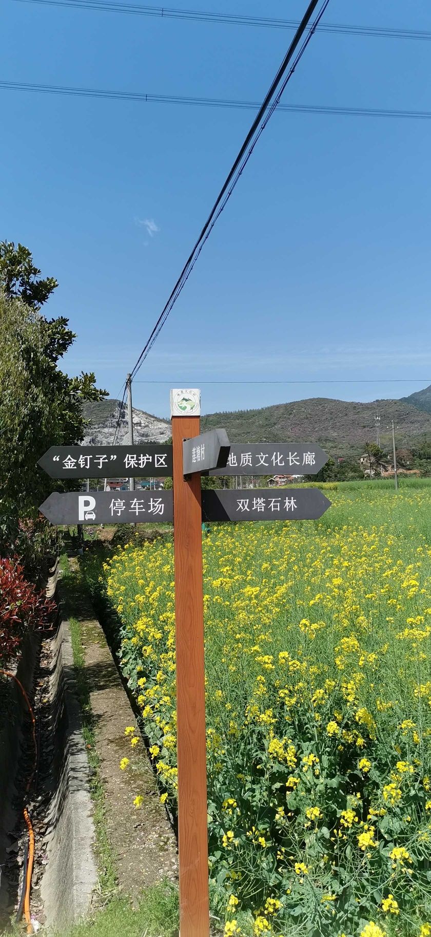 江山市海底世界双塔石林旅行图片 3