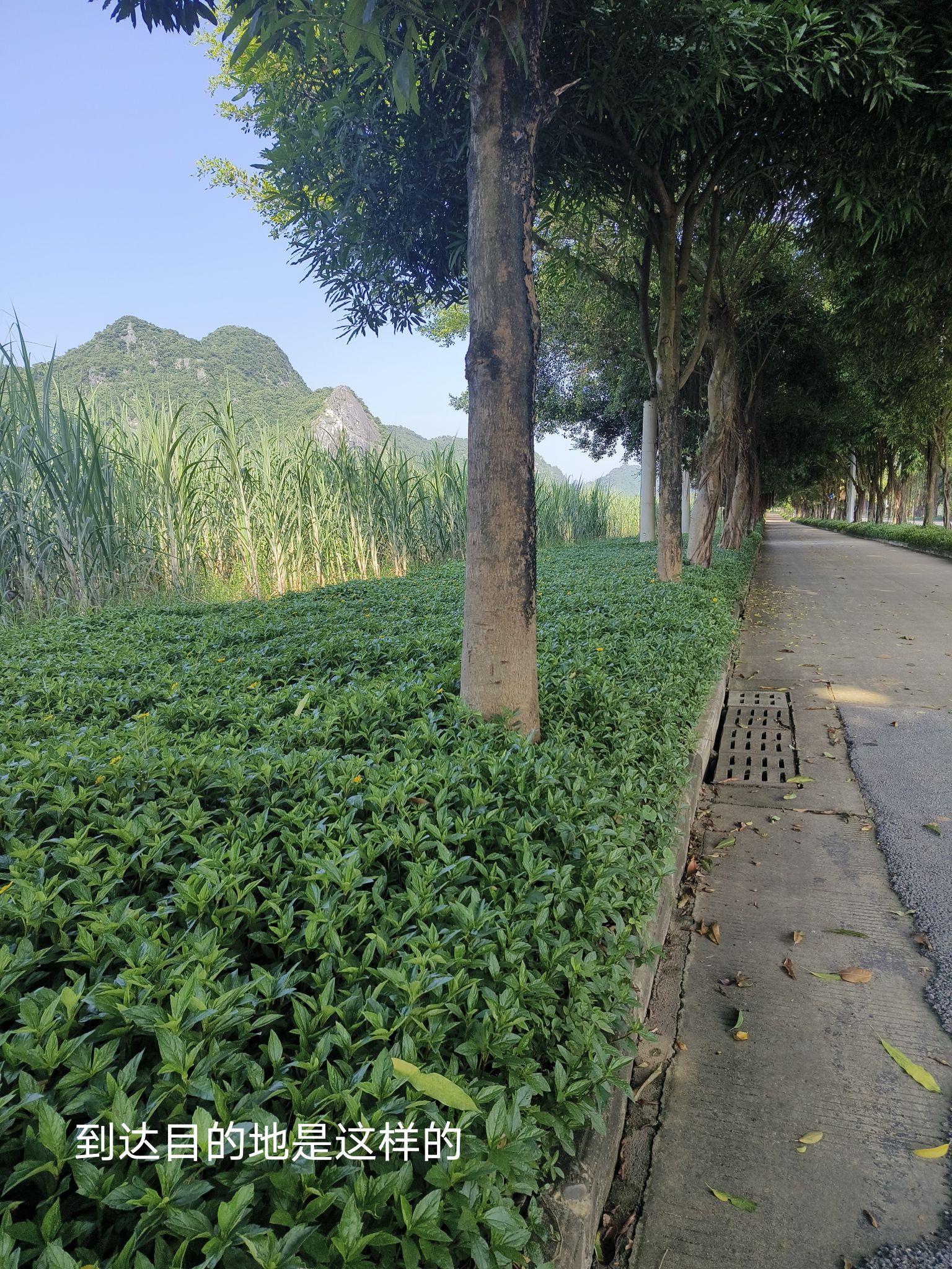 里建湖公园旅行图片 2