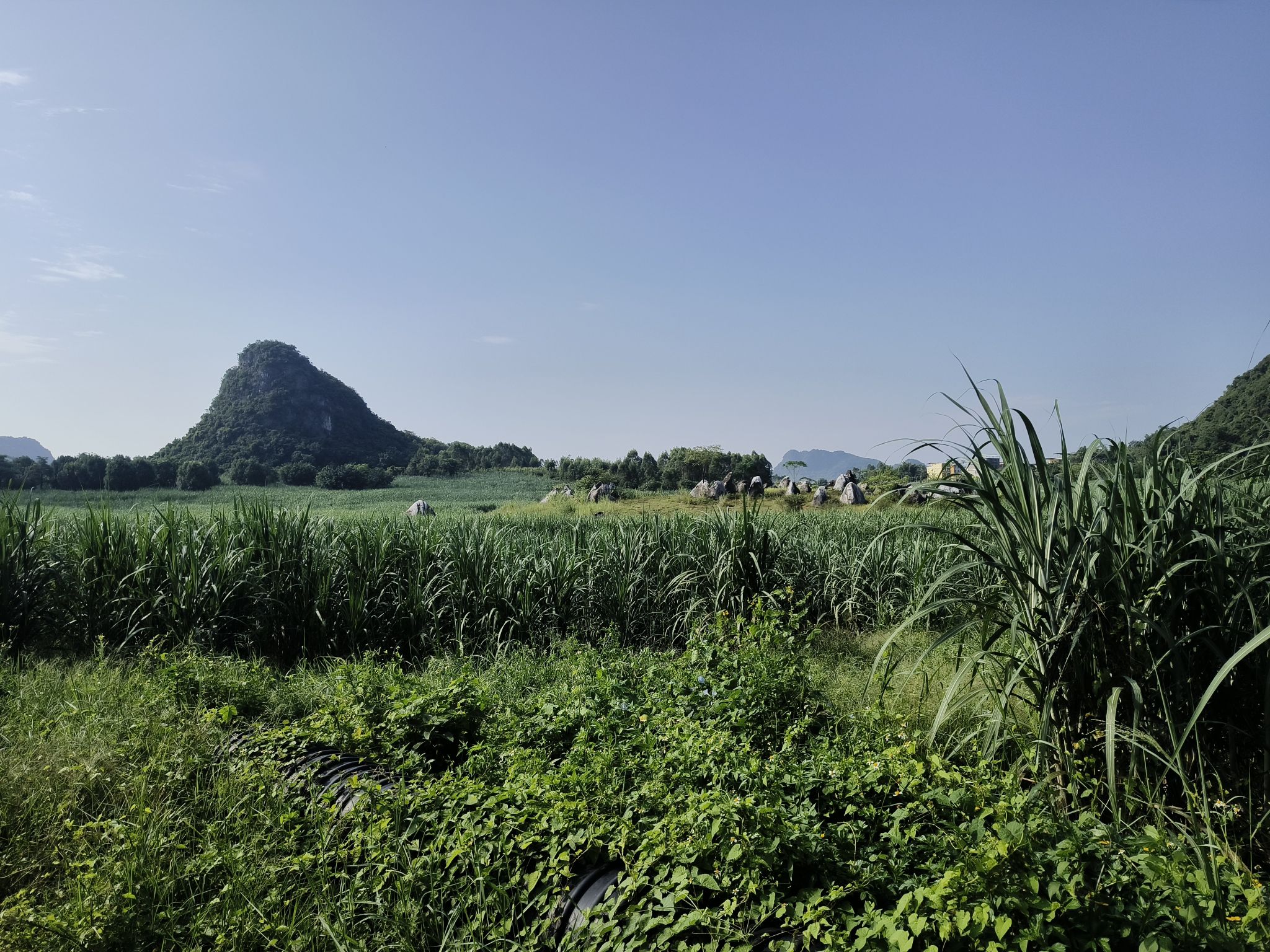 里建湖公园旅行图片 3