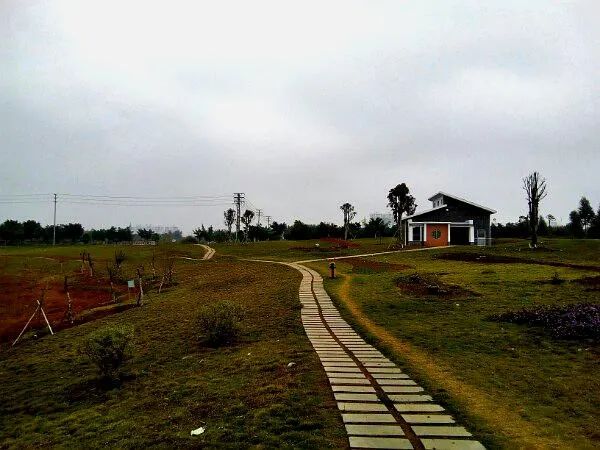 里建湖公园旅行图片 1