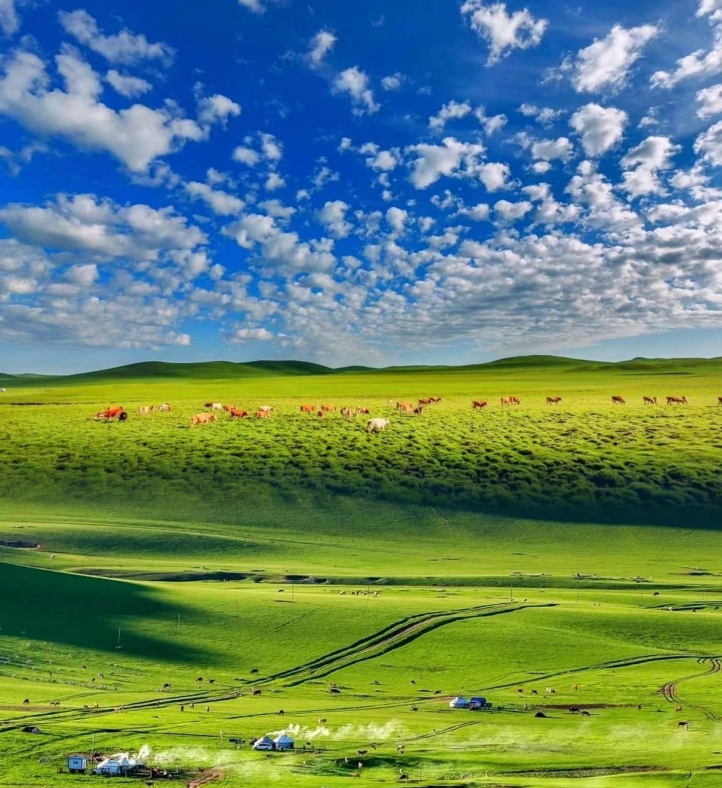 灯笼河子草原旅行图片 1