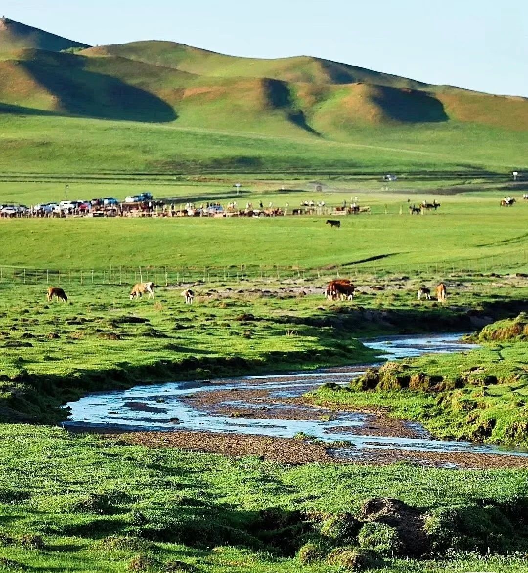 灯笼河子草原旅行图片 2