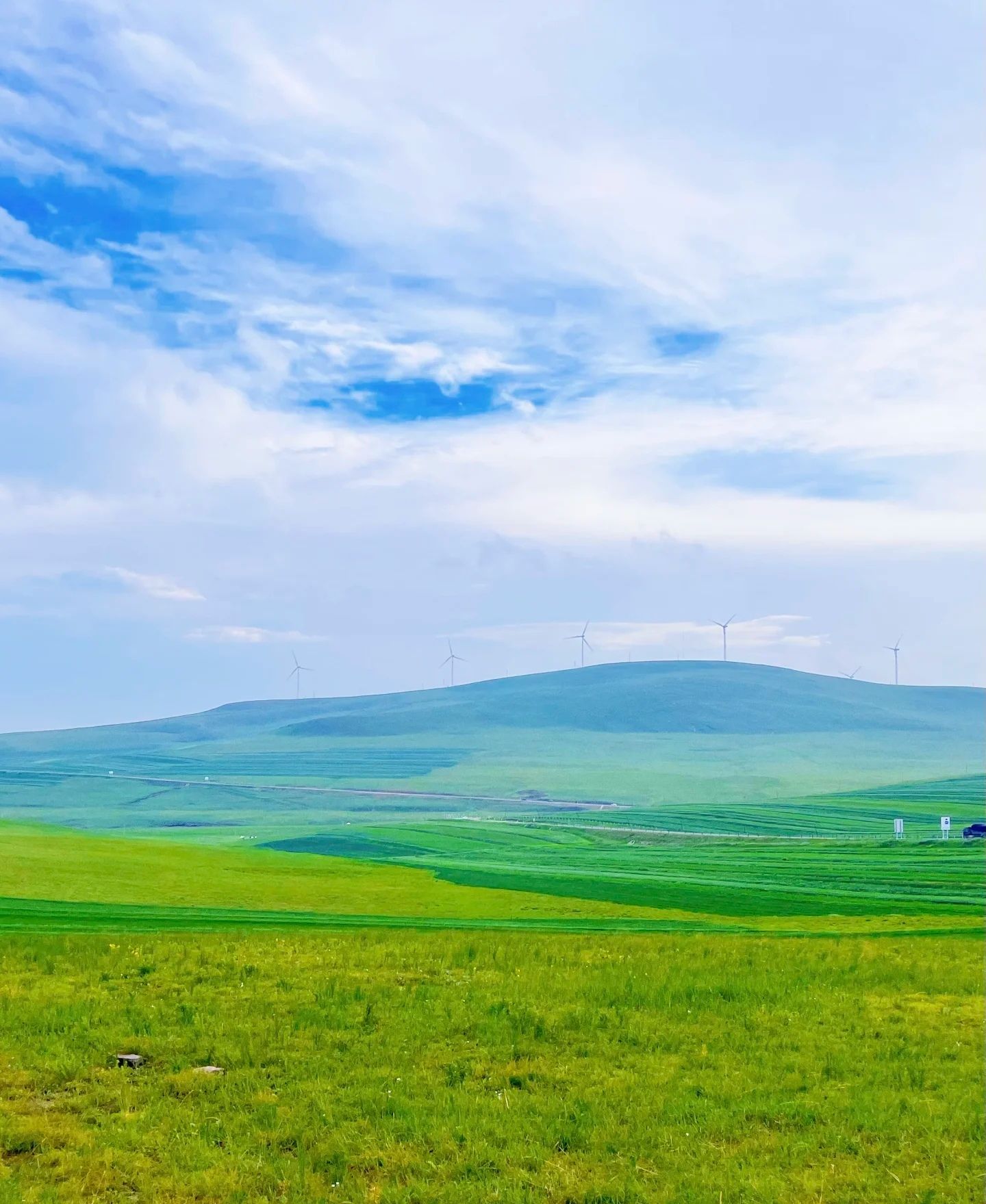 灯笼河子草原旅行图片 3