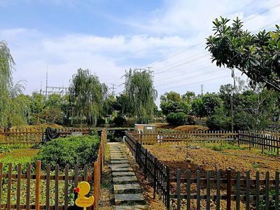 秣陵杏花村旅行图片 3