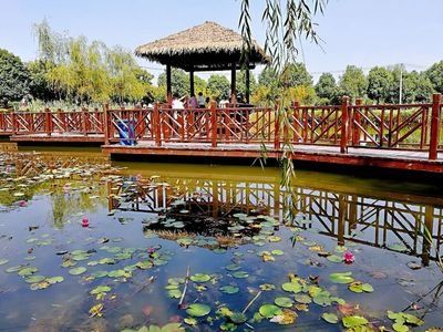秣陵杏花村旅行图片 2