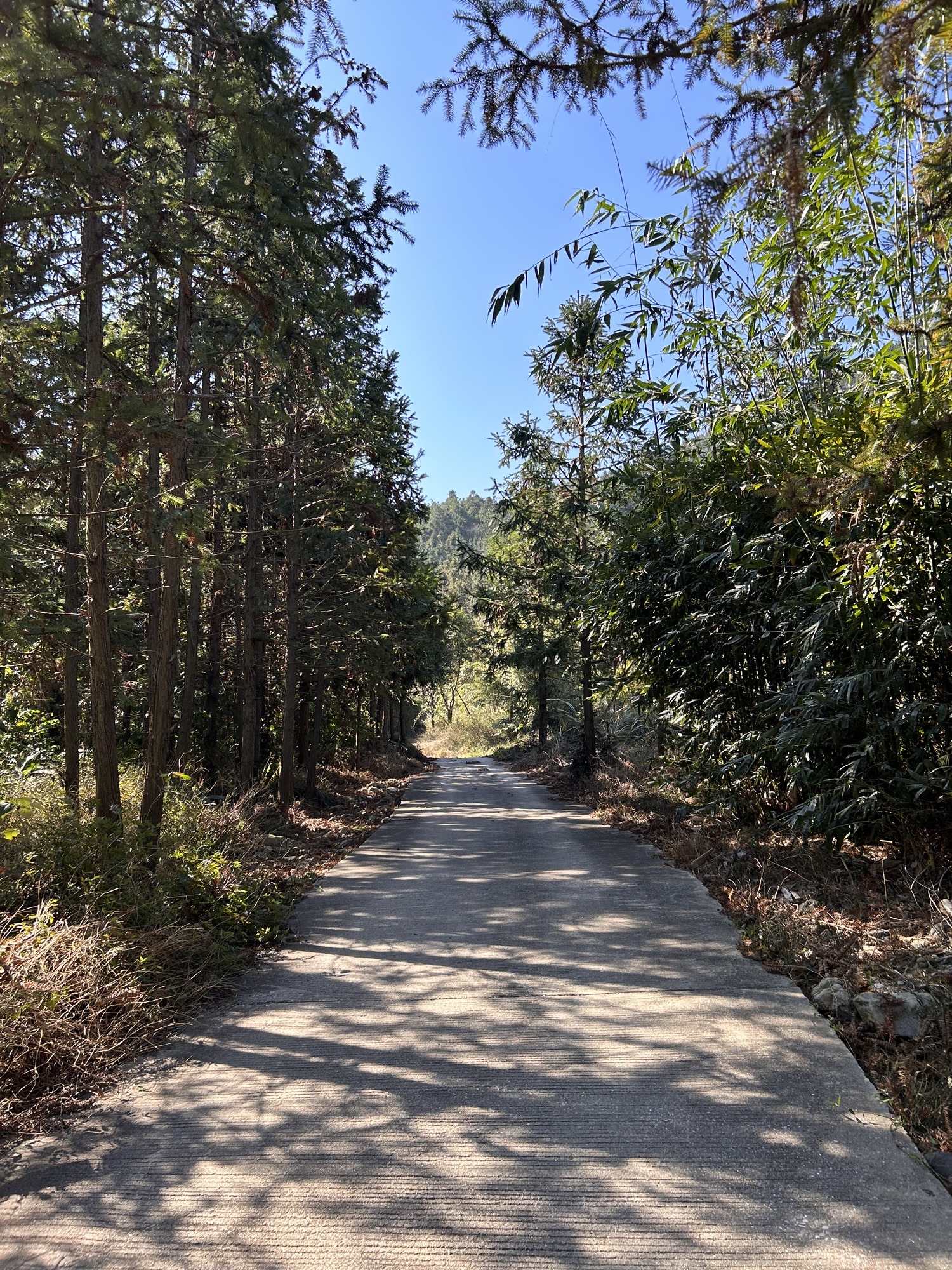 韶关藏龙峡生态旅游区旅行图片 2