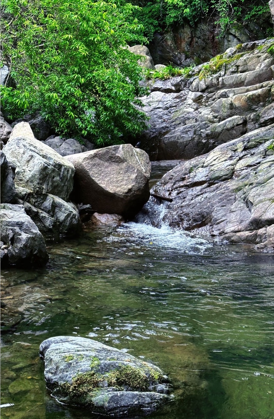 韶关藏龙峡生态旅游区旅行图片 1