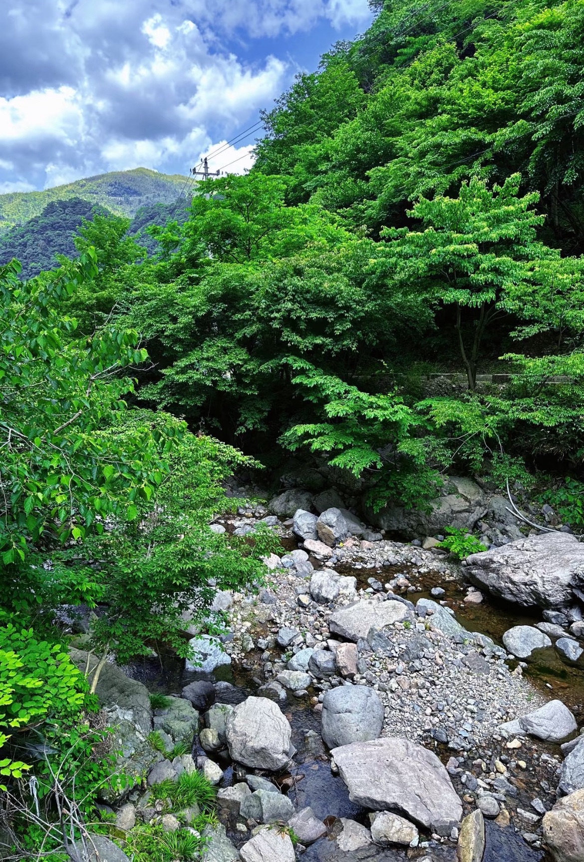 韶关藏龙峡生态旅游区旅行图片 2