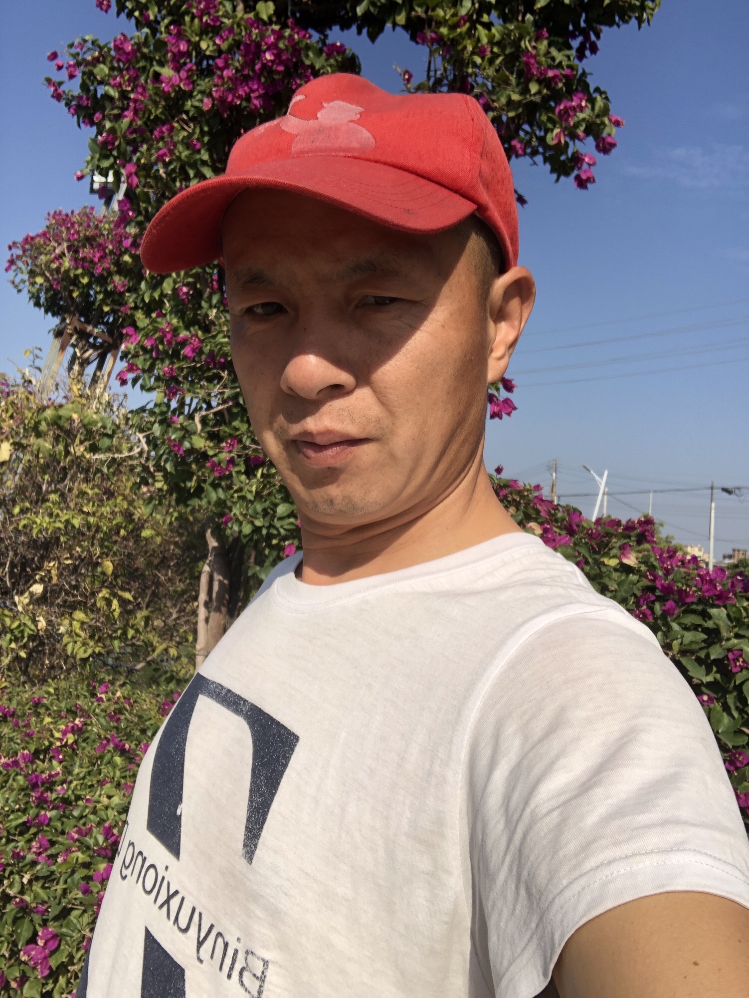 新会牛雕岗旅行图片 2
