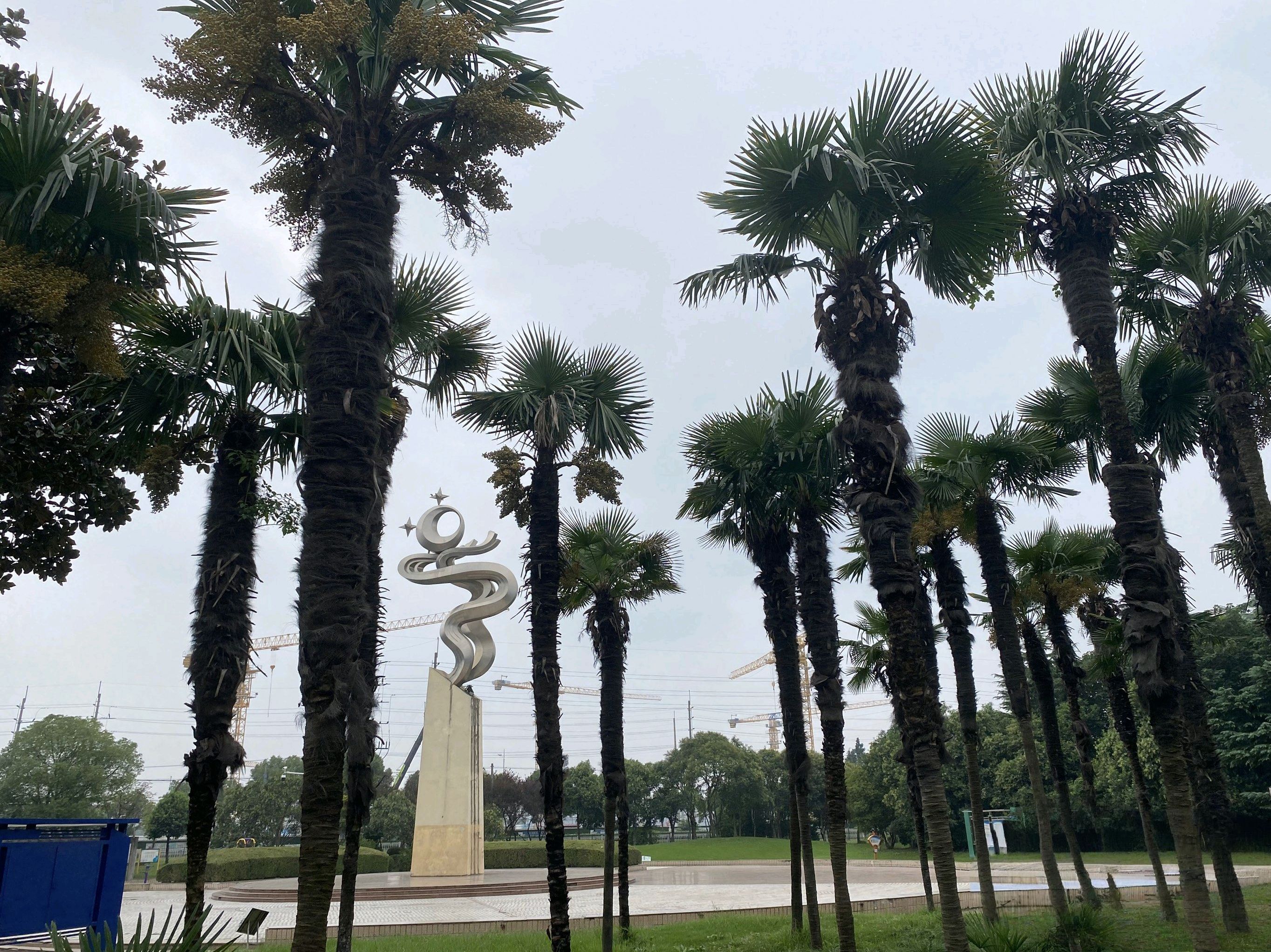 娄塘公园旅行图片 1