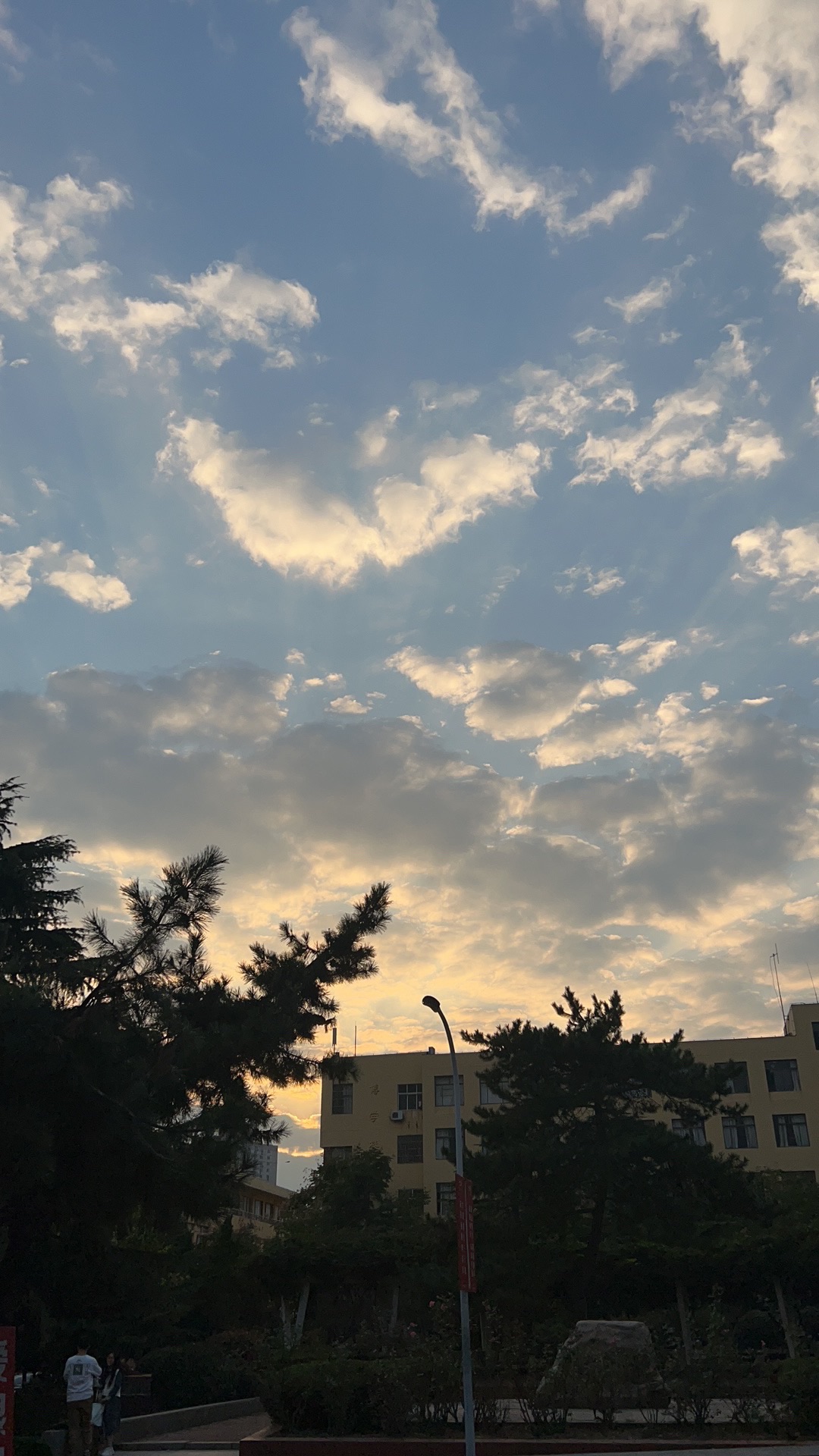 青岛大学环境科学与工程学院