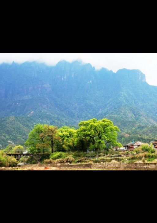 乌君山风景区旅行图片 3
