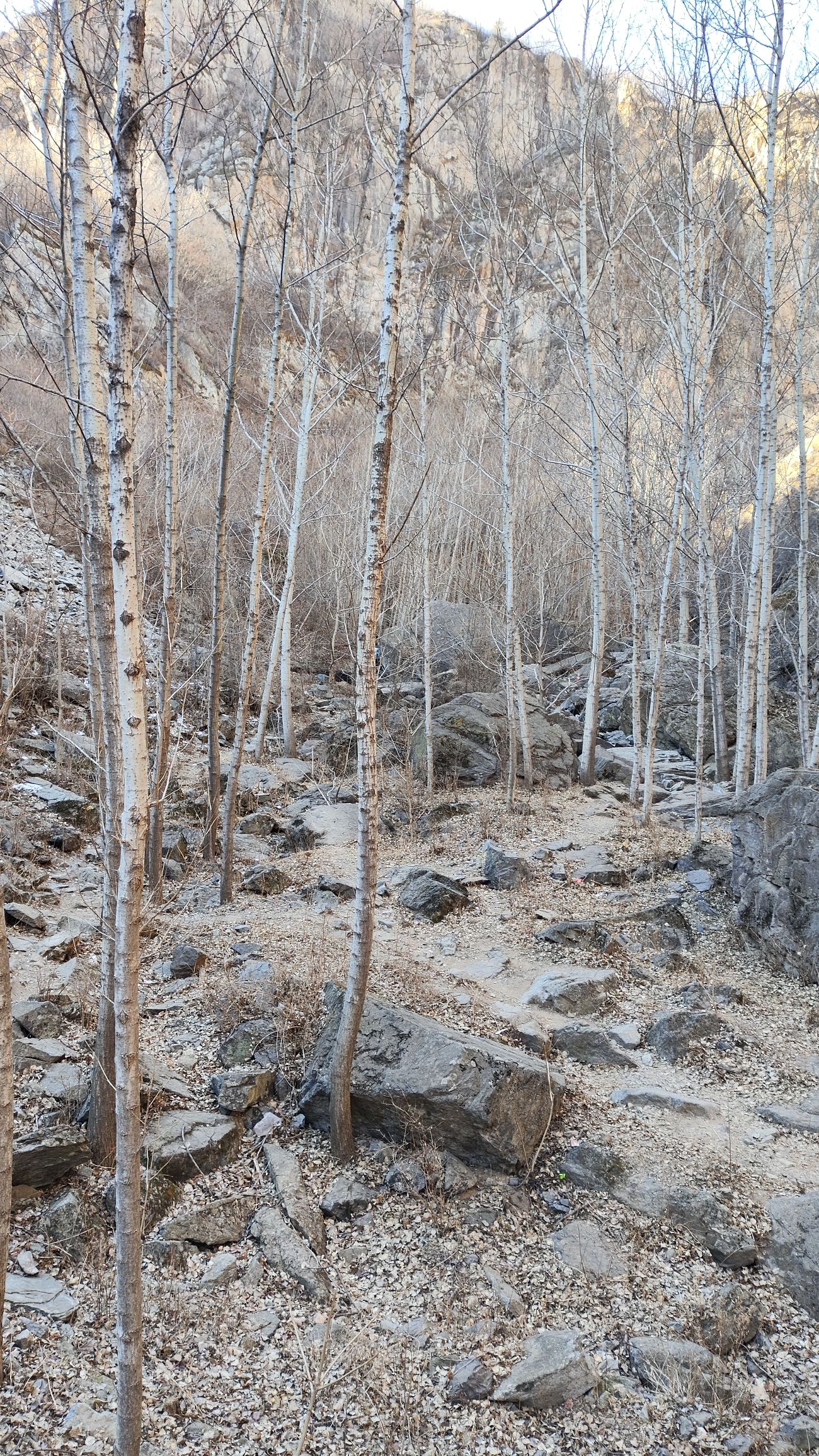 黑龙潭瀑布旅行图片 1
