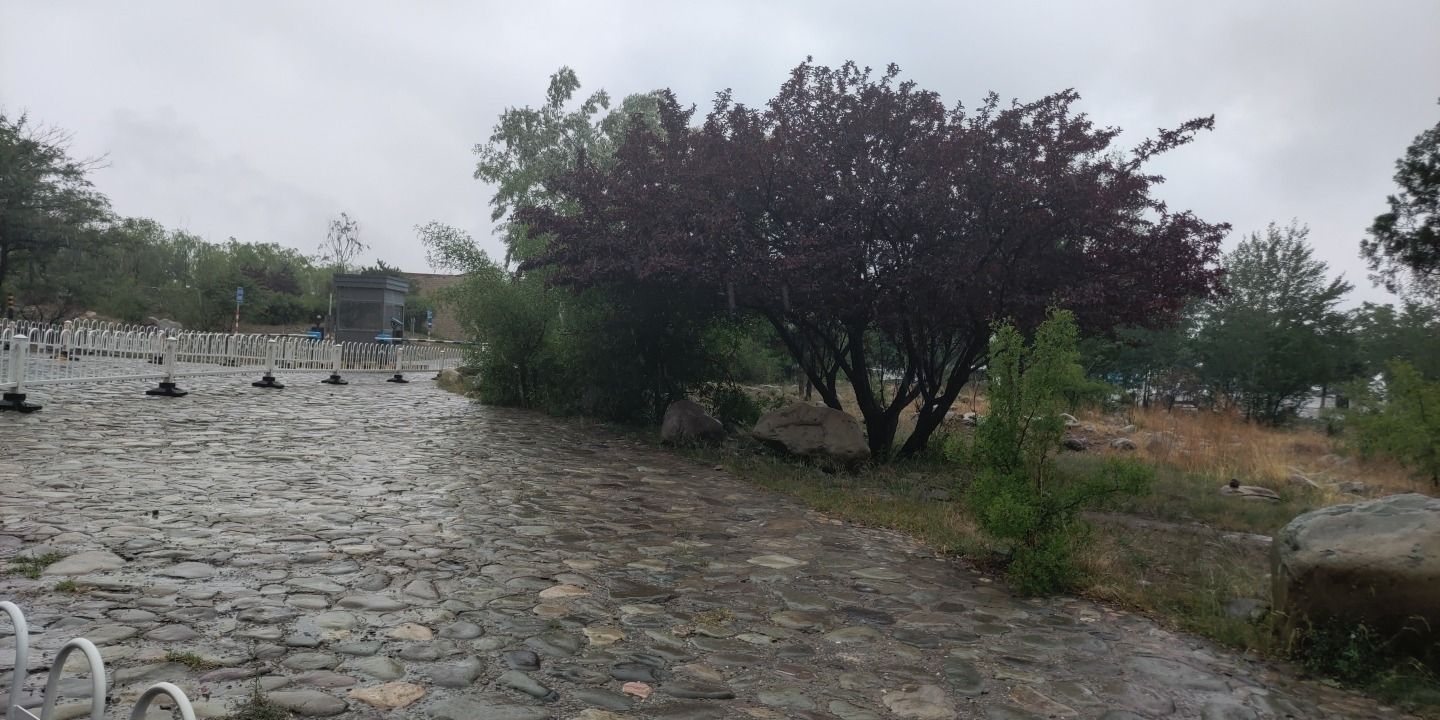 贺兰山岩画景区瀑布