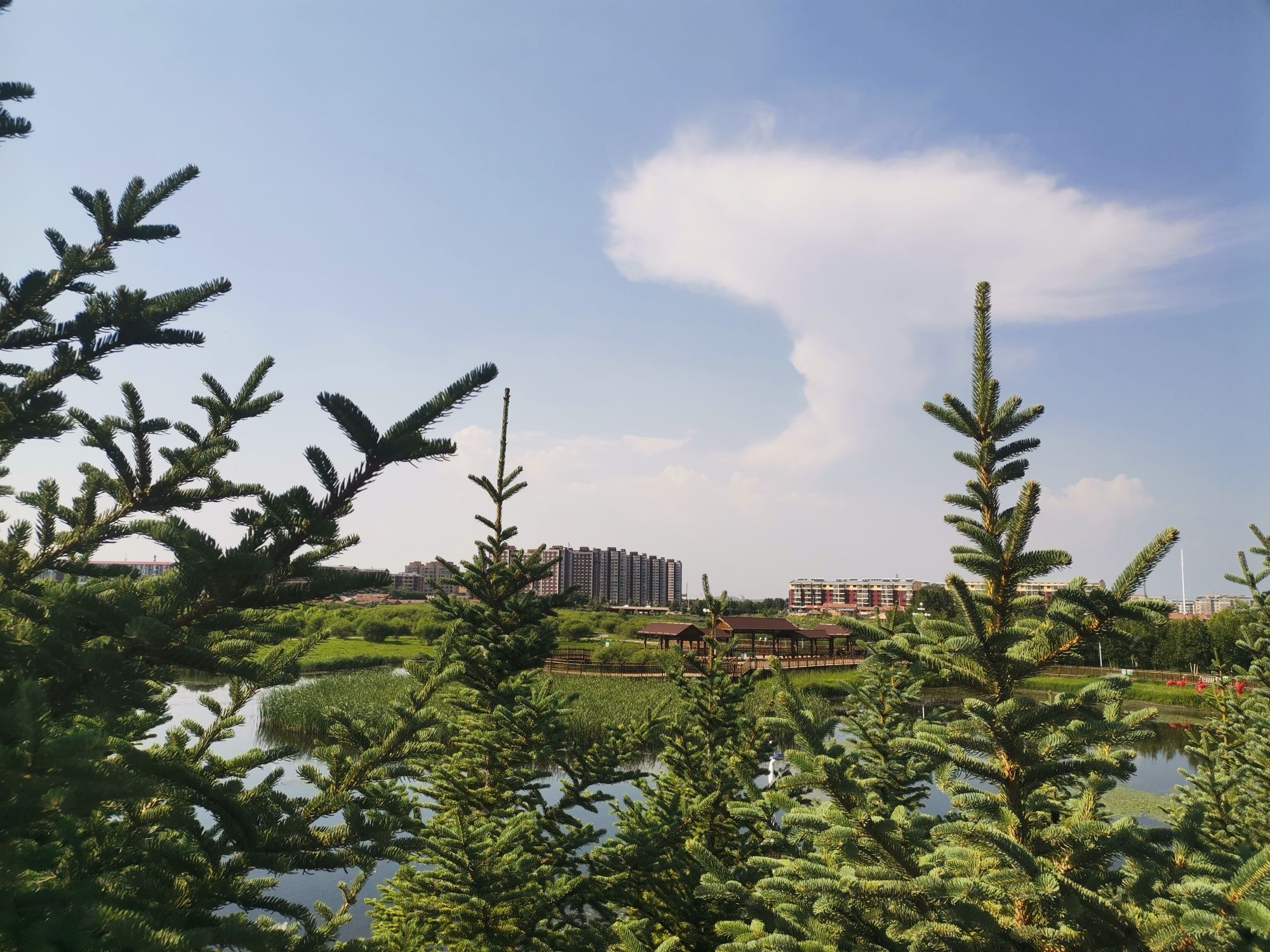 沽源县滨湖公园旅行图片 1