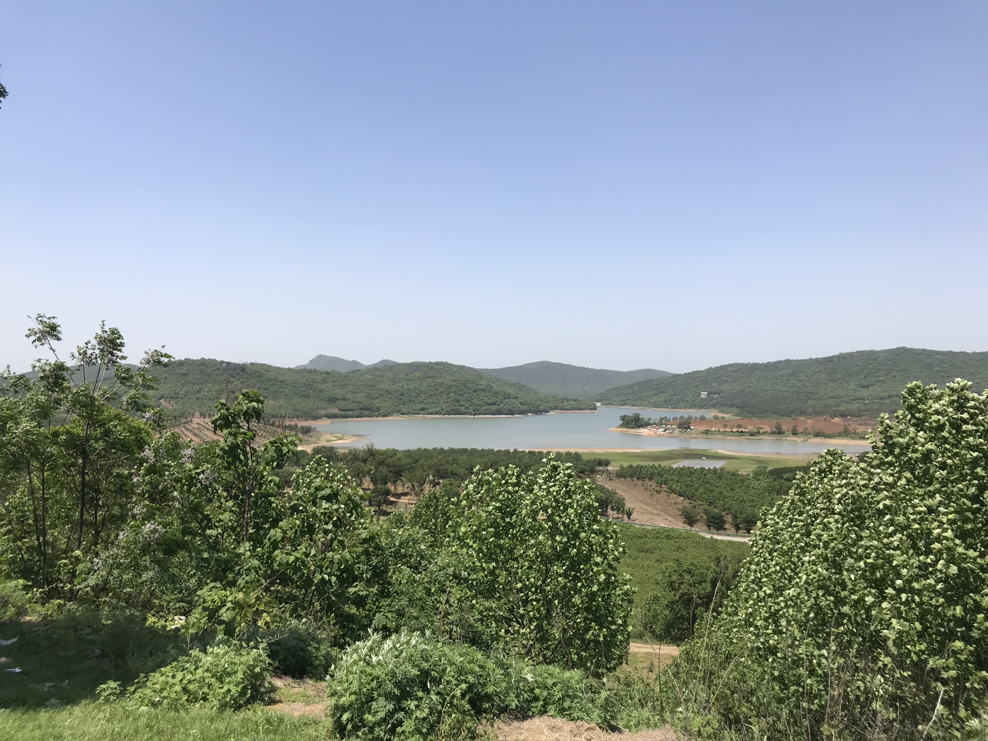 半月湖植物园旅行图片 2
